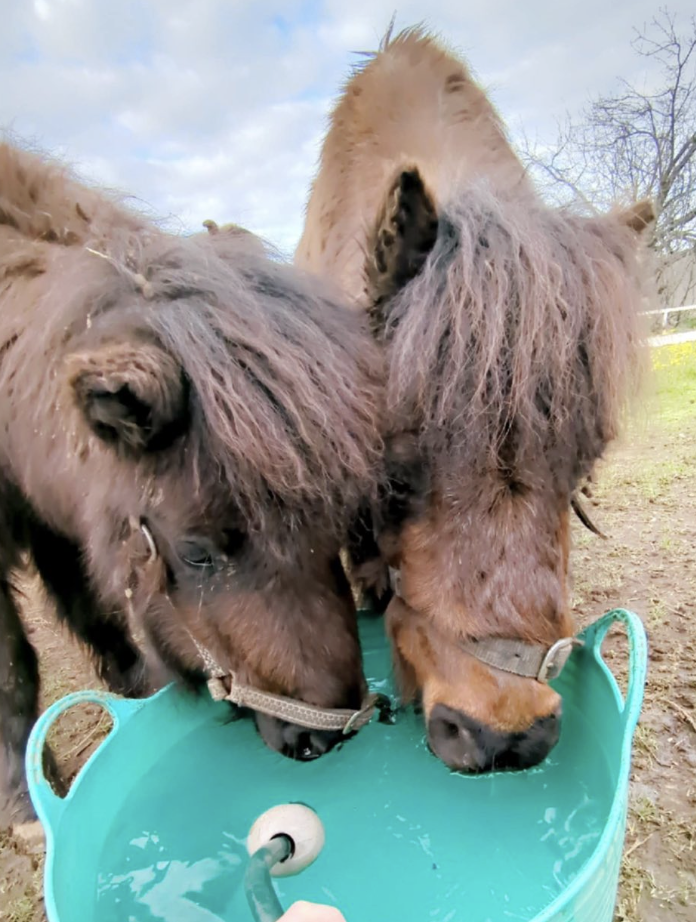 Screenshot 2025-11-26 at 7.00.52 pm.png