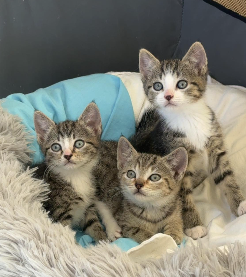 Screenshot 2025-11-26 at 6.57.33 pm.png