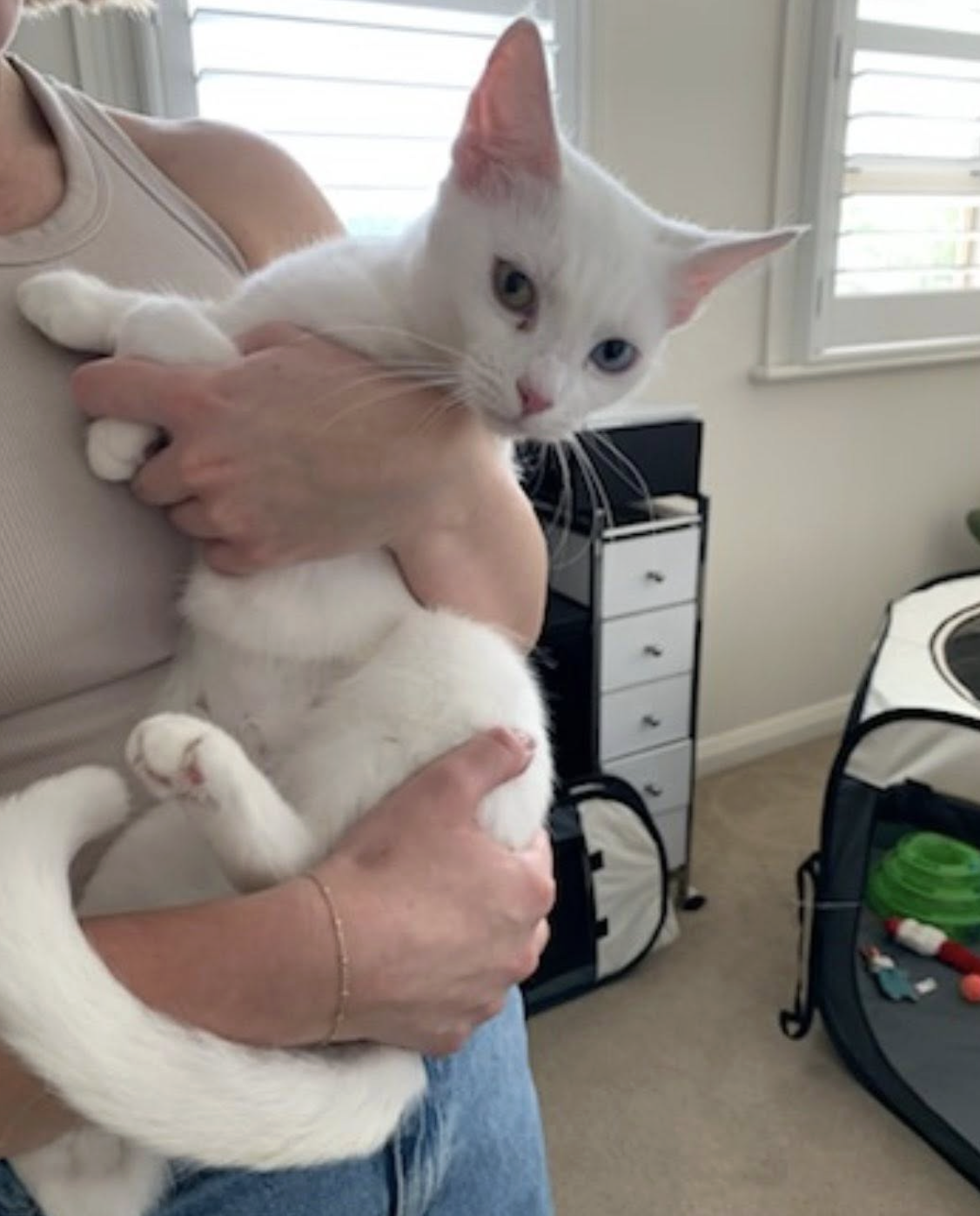 Screenshot 2026-01-27 at 9.31.23 am.png