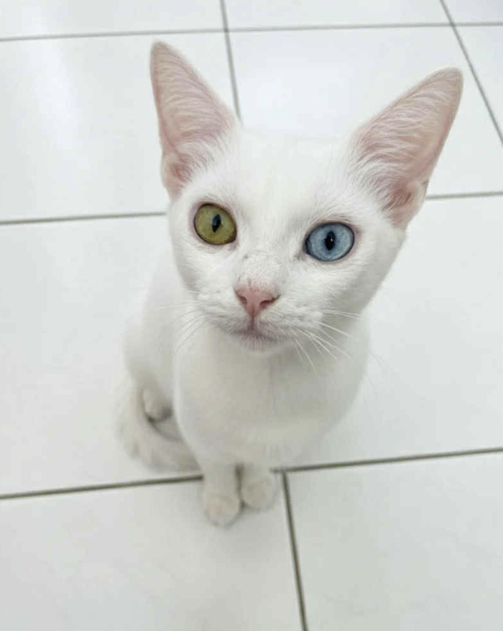 Screenshot 2026-01-23 at 10.06.14 pm.png