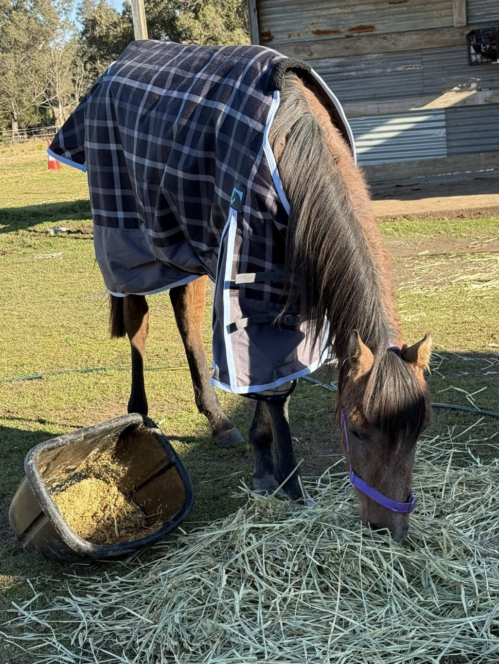 Screenshot 2025-11-26 at 7.01.30 pm.png