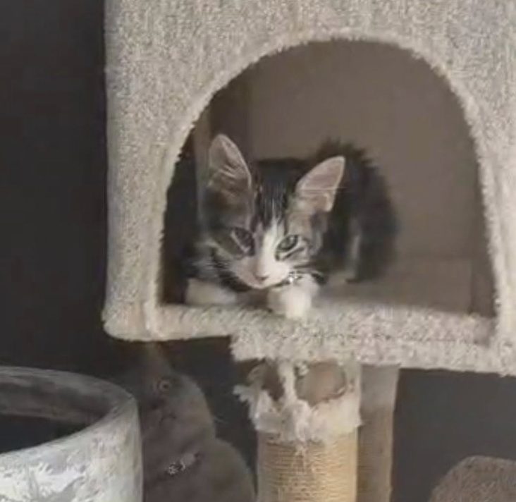 Screenshot 2026-03-22 at 12.26.44 pm.png