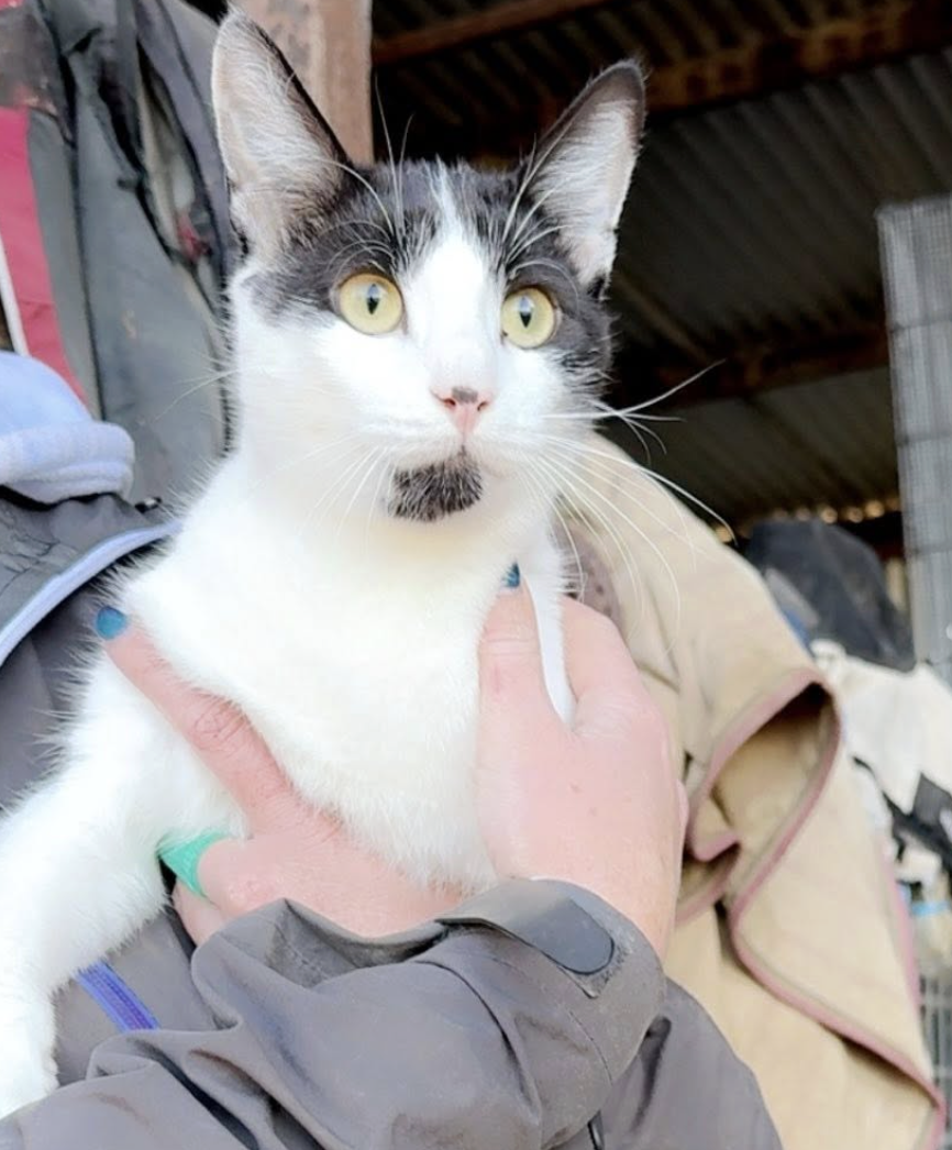 Screenshot 2026-01-23 at 11.00.24 pm.png