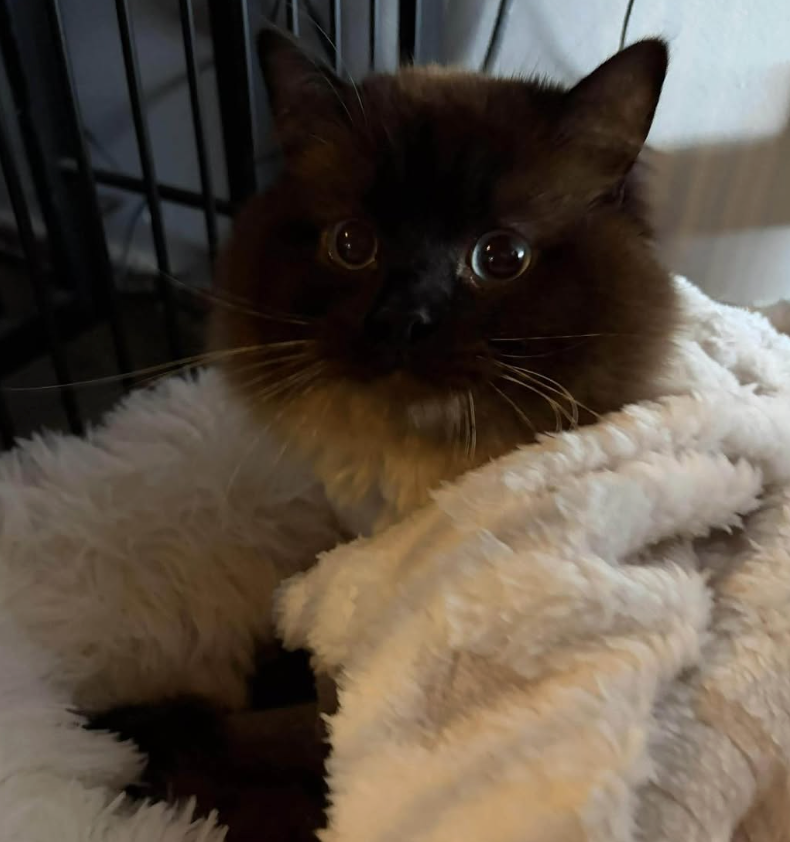 Screenshot 2026-01-24 at 3.28.32 pm.png