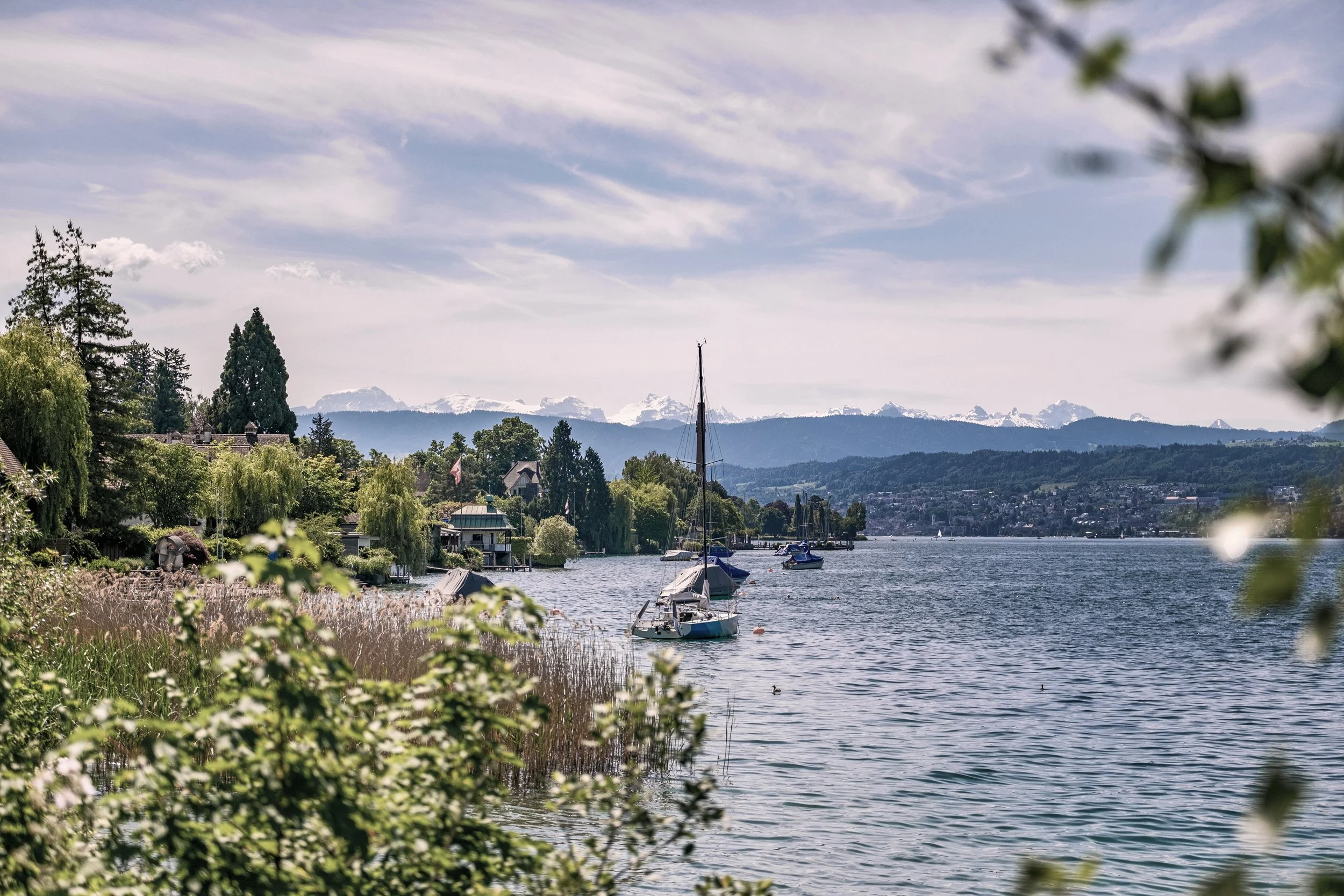 2025-06-04-23_web_final.jpg