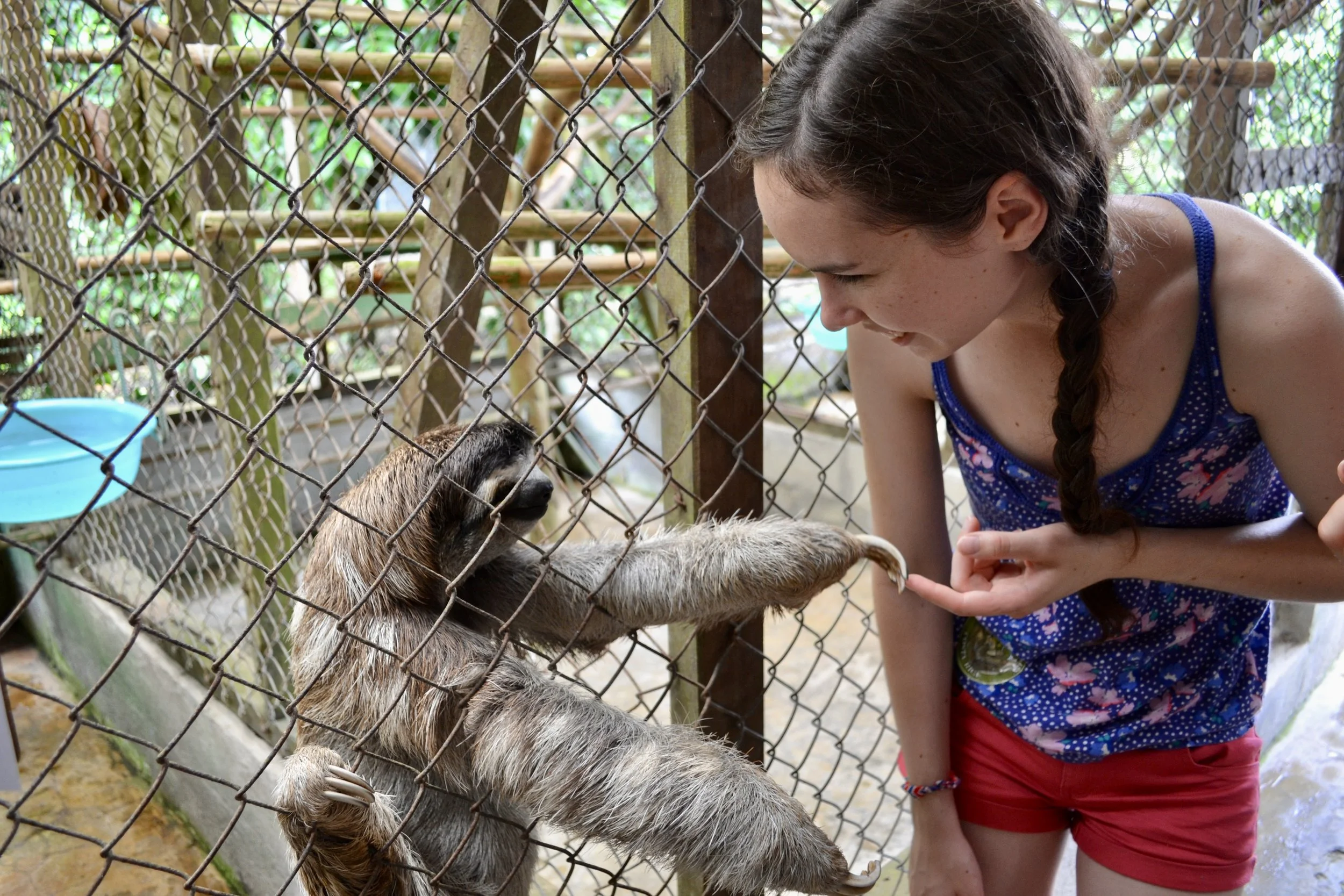 Woman poses with sloth in Costa Rica sanctuary