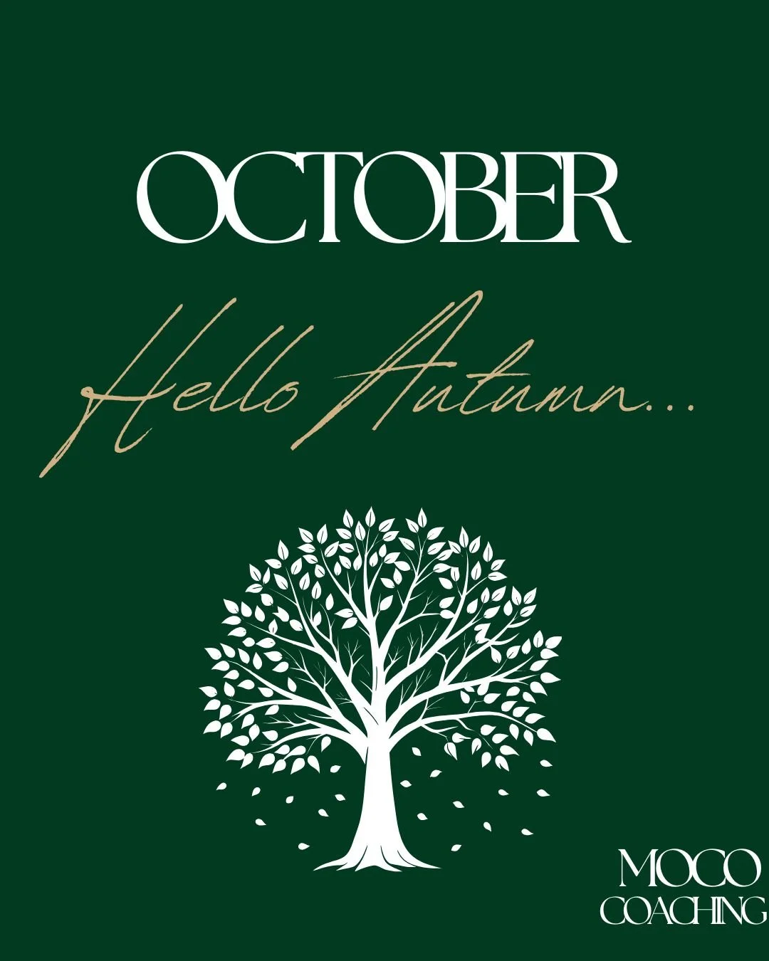 October: when your diary says &ldquo;Q4&rdquo; but your body says &ldquo;hibernation&rdquo;. 😂

The mornings are darker.
The evenings are shorter.
The children have already started asking how many sleeps until Christmas.
And somehow we&rsquo;re all 