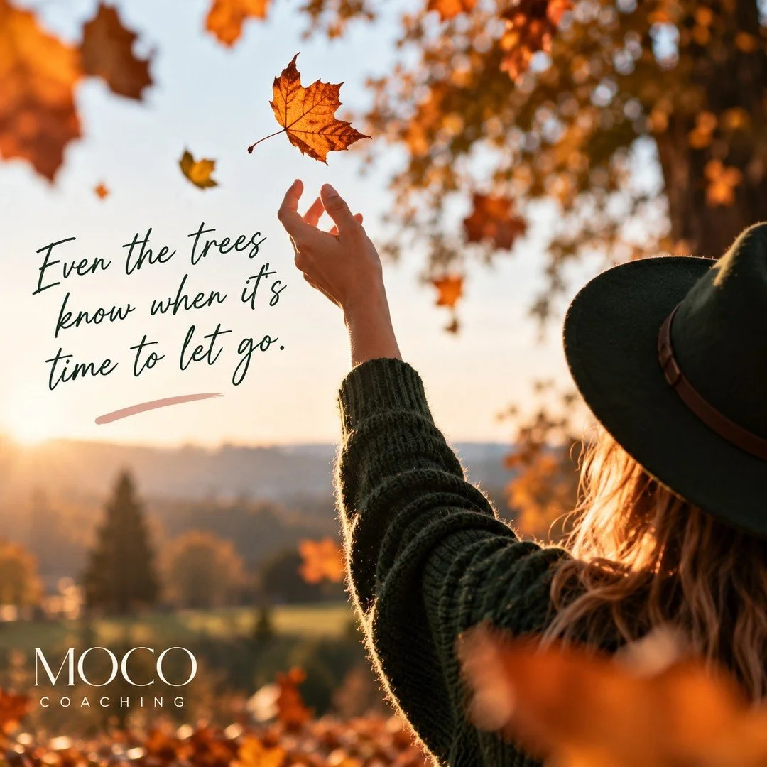 The trees are better at letting go than we are. 🍂

Every October, they do their thing.

They change colour.
They let go of what they no longer need.
They make room for what's next.

And not once do they apologise for it. 👀

Meanwhile, we're over he