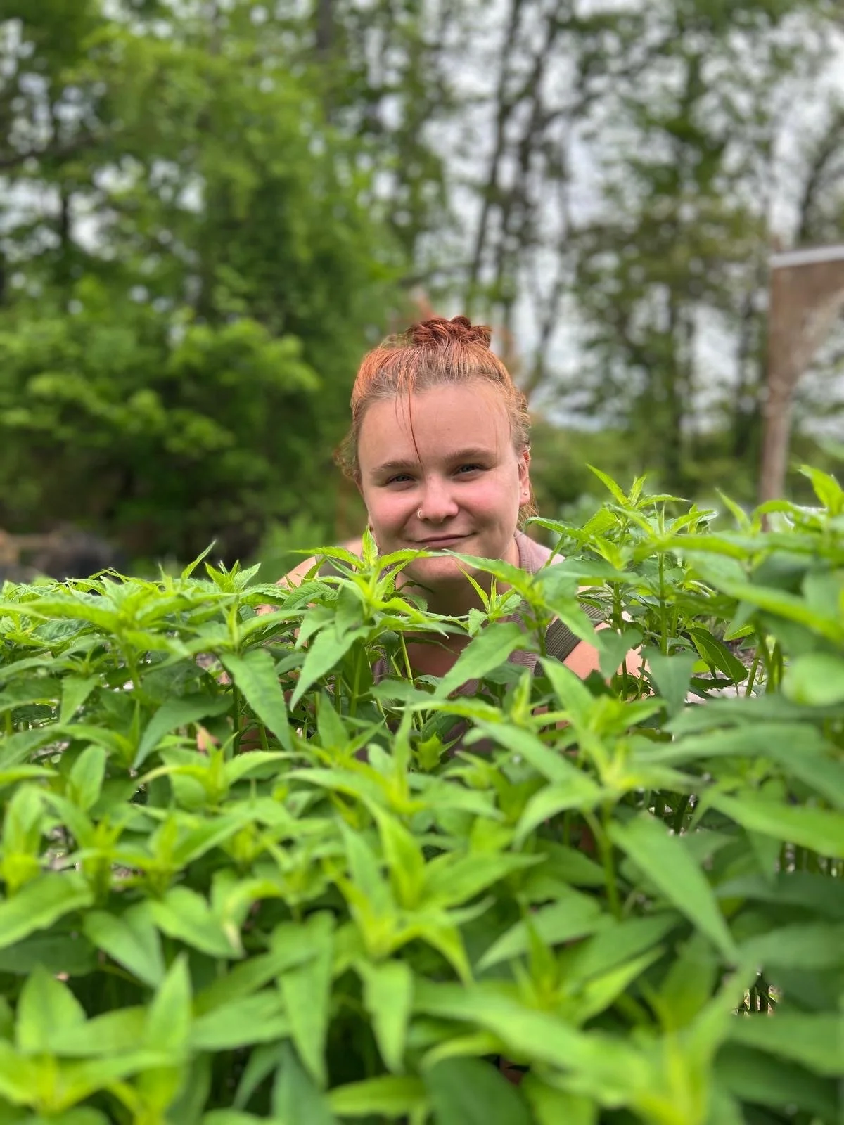 Oranssi construction engineer Jamie Kokot