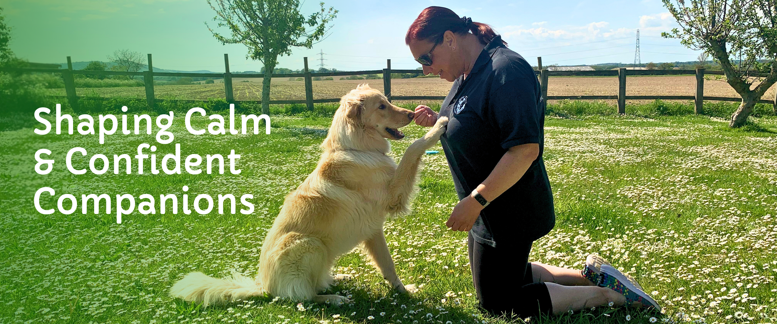 Trainer with dog and their paw up in a field