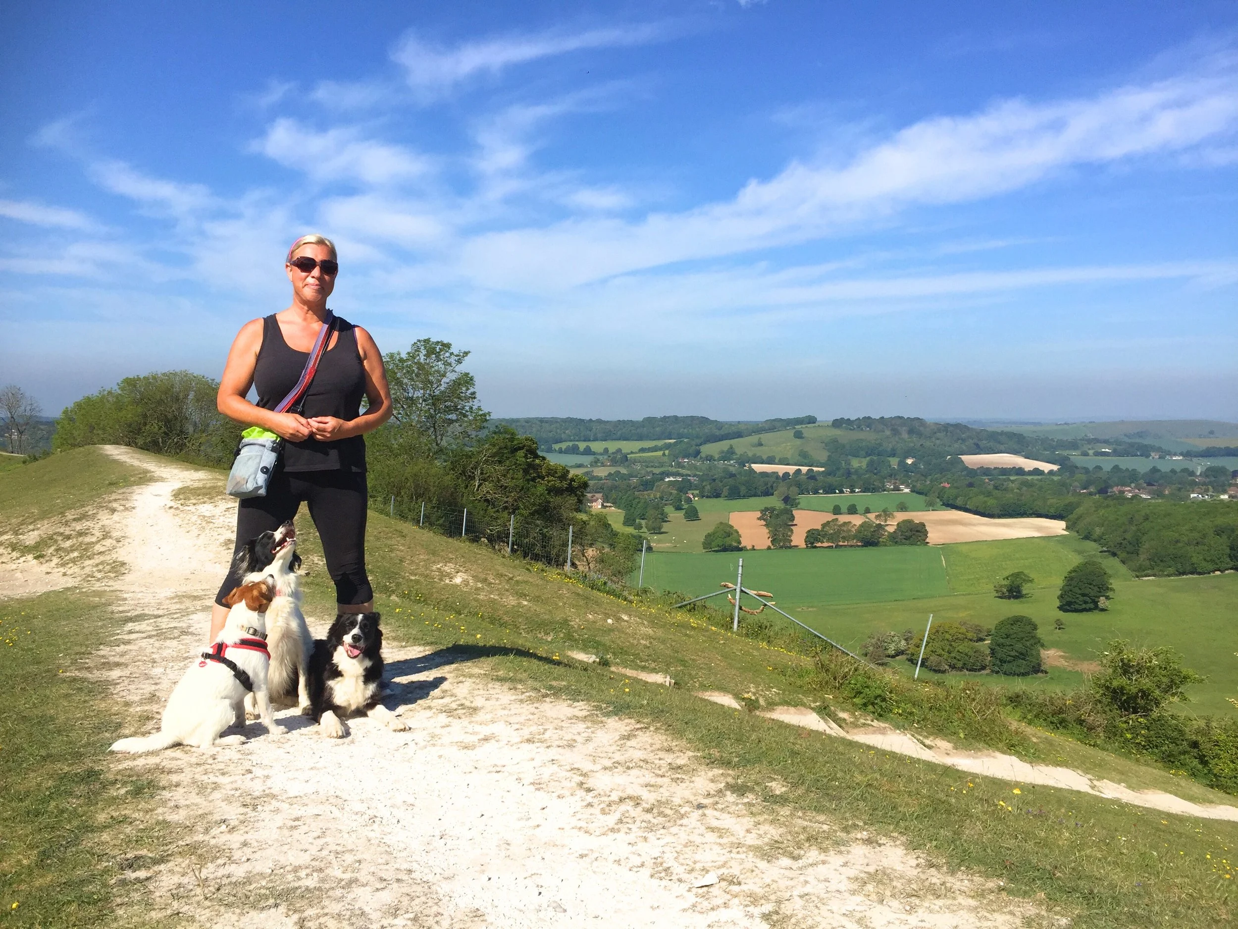 A woman stands on a trail with three dogs in a green, hilly landscape under a blue sky with clouds.