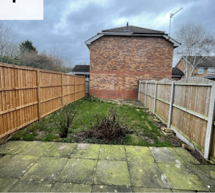 Small backyard with green grass, two leafless bushes, a brick house at the back, and a wooden fence on both sides, overcast sky.