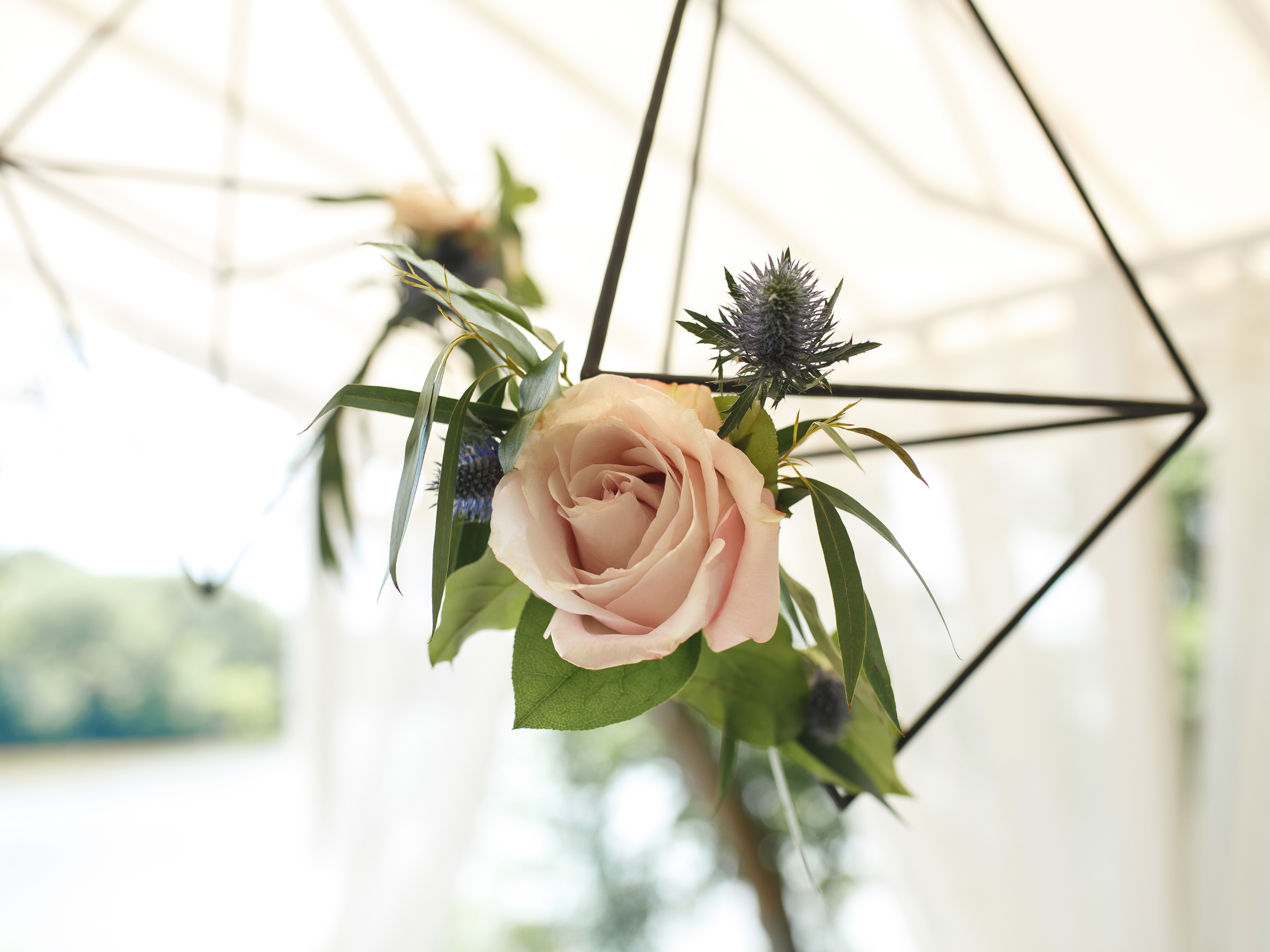 Close-up of a floral arrangement with a pink rose, purple thistle flowers, and green leaves, suspended in front of a geometric metal frame.