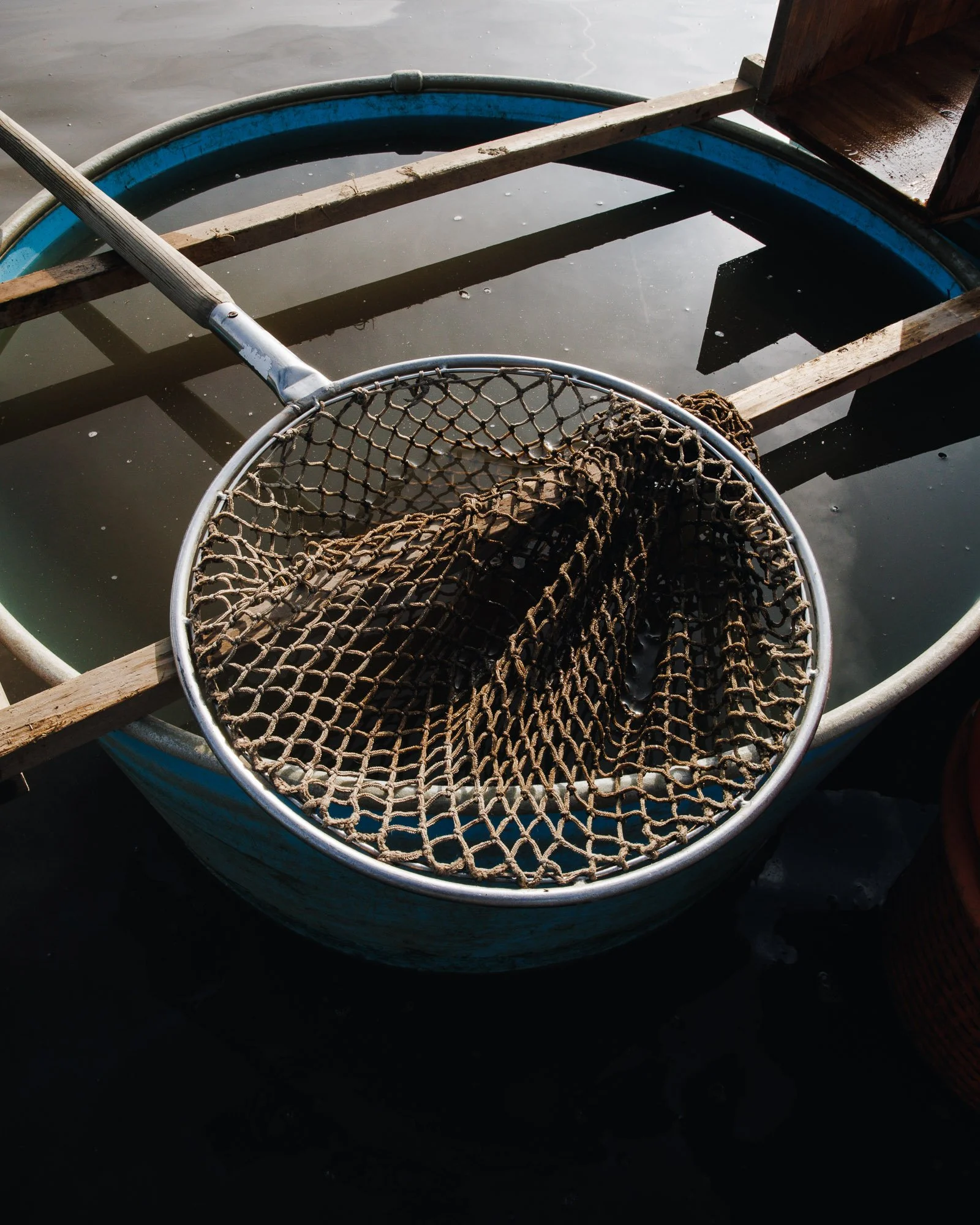 SchlossLitschau_Fischtanz_Web-22.jpg