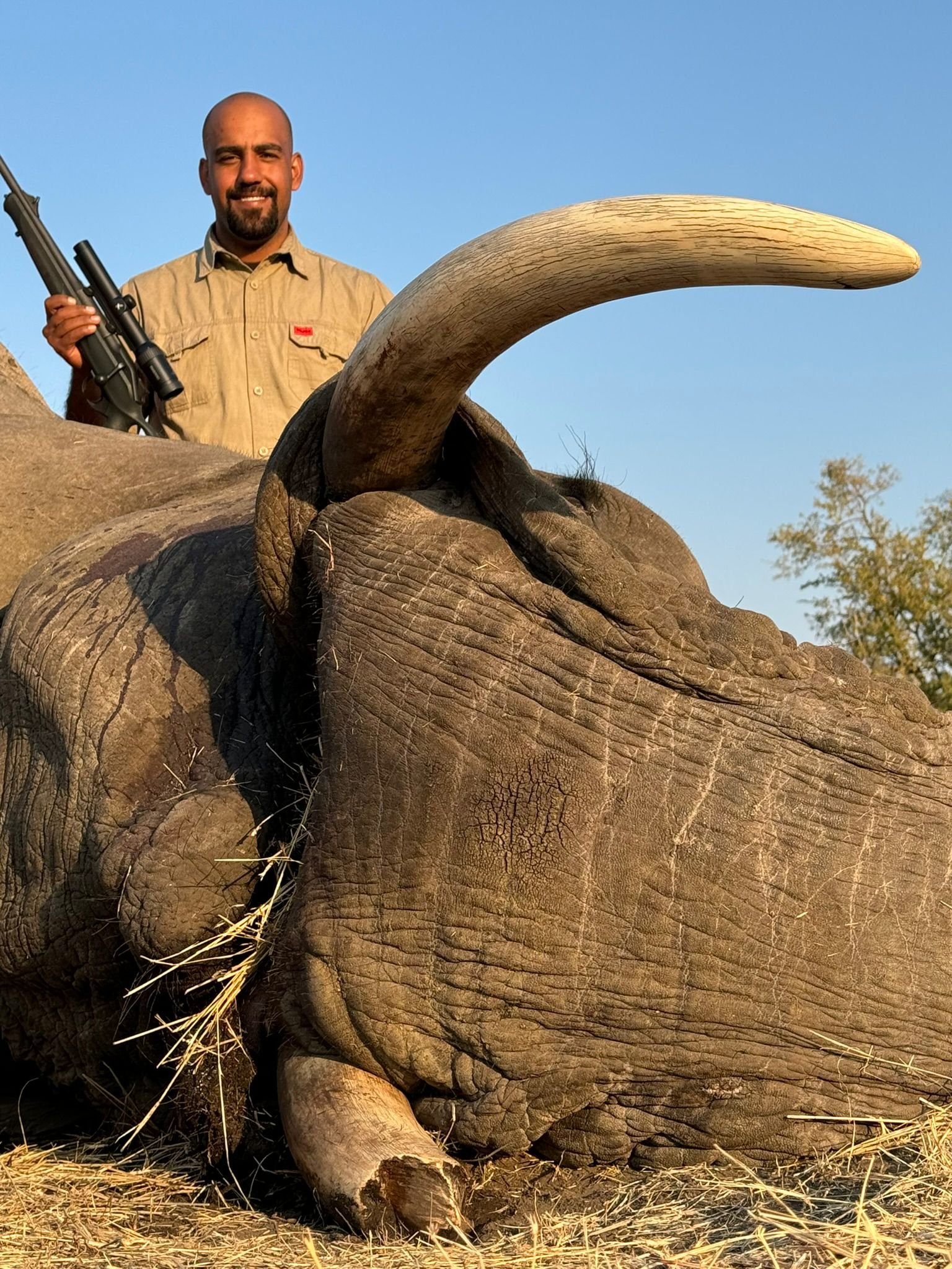 Elephant hunt 1.jpg