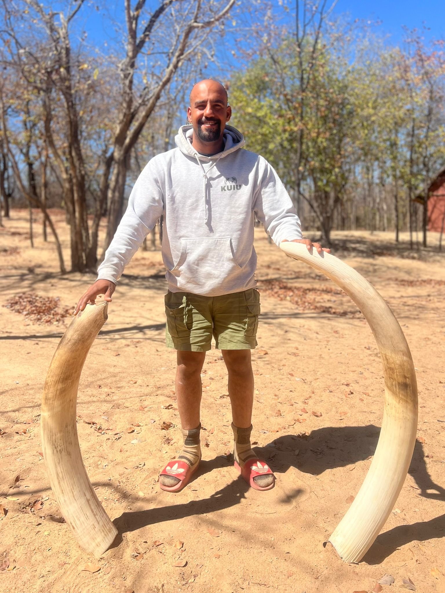 Elephant 2.jpg