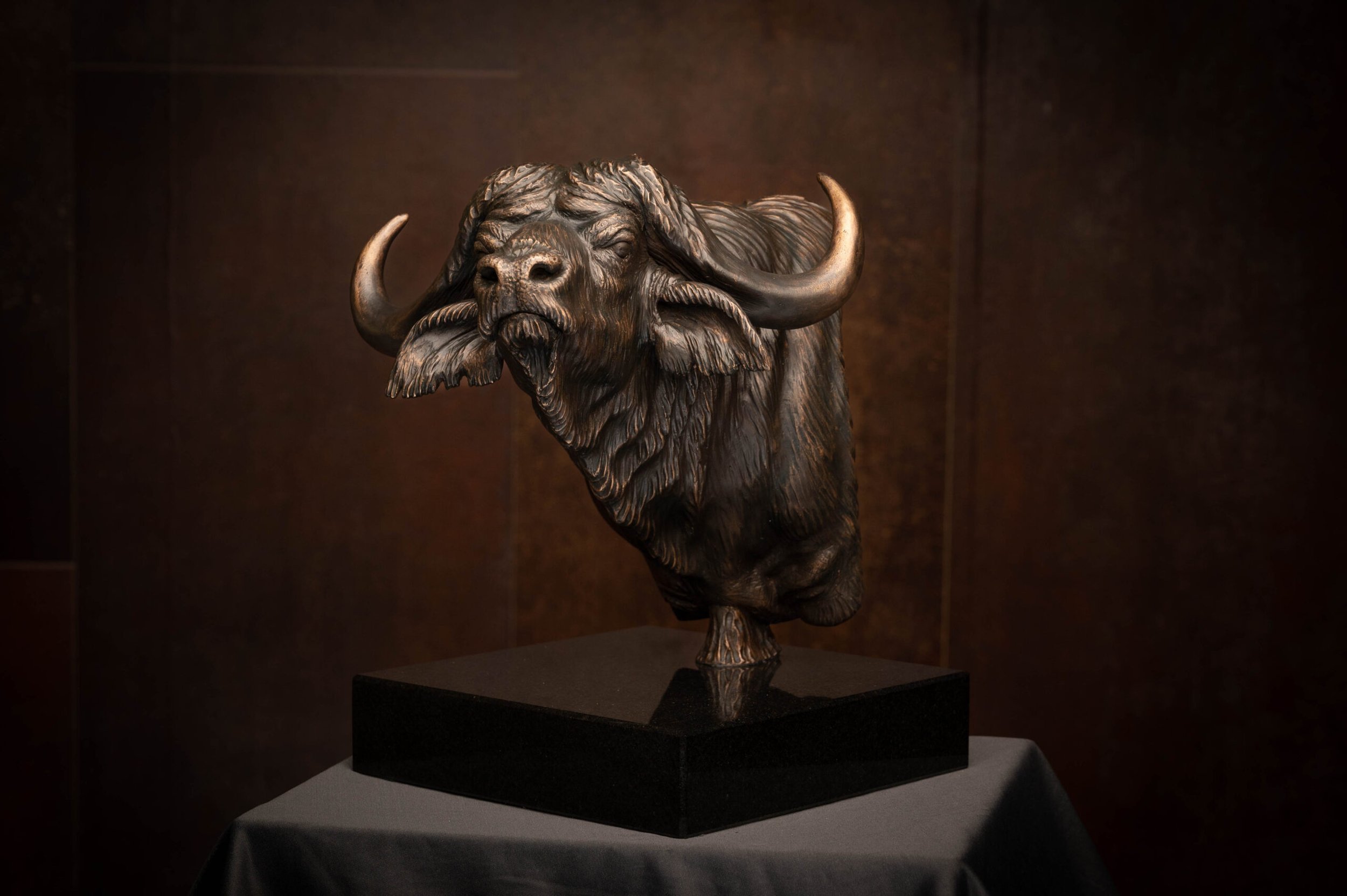 Buffalo 1.jpg
