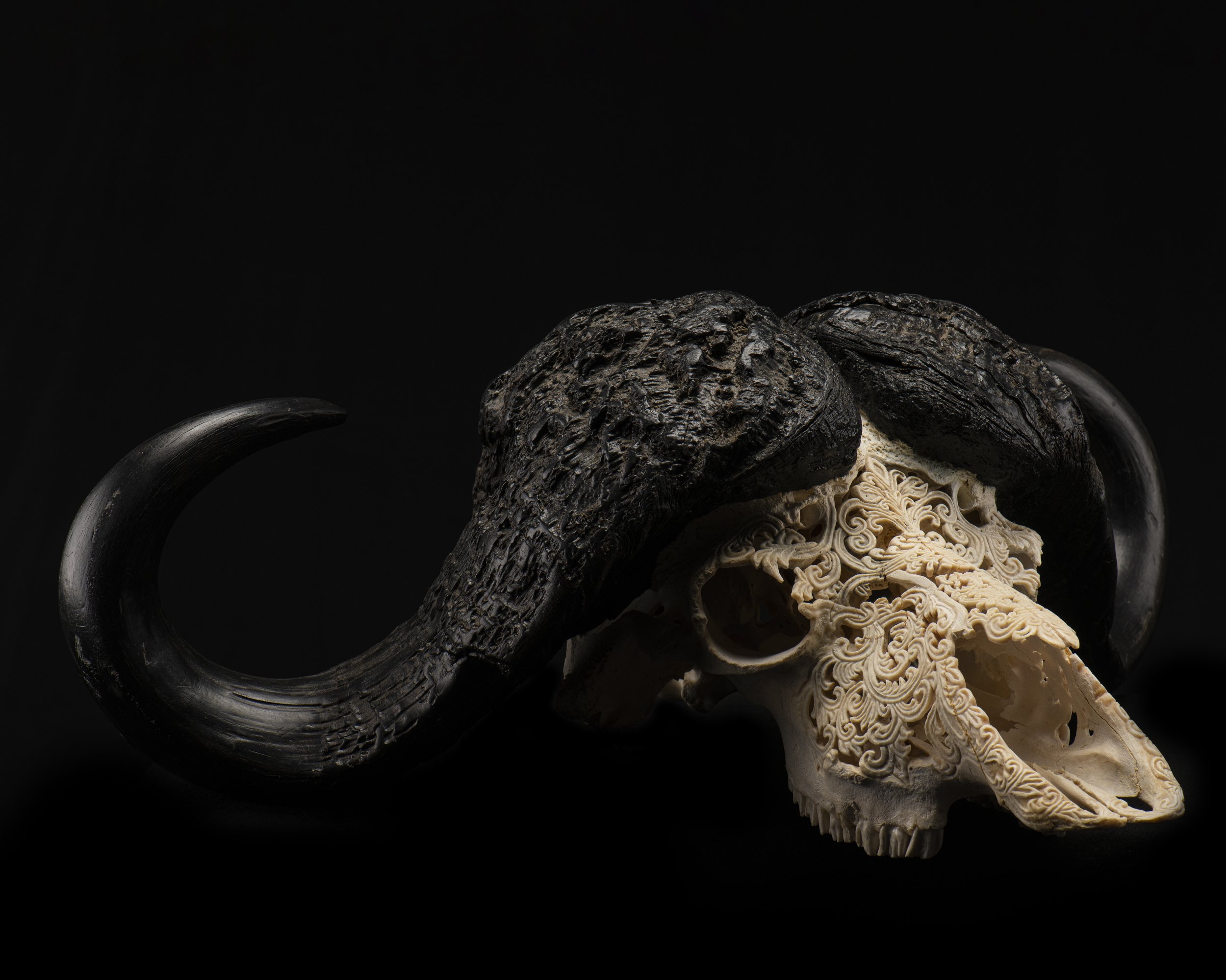 Skull art 1.jpeg