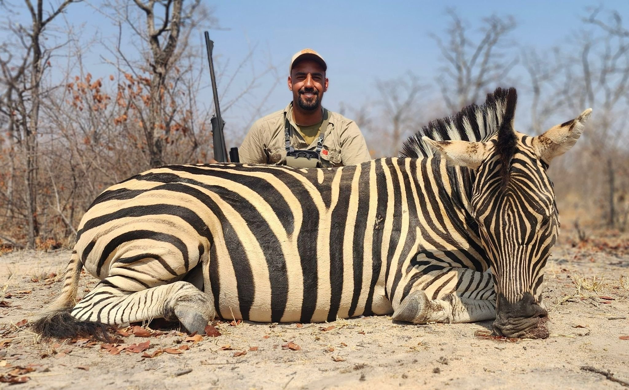 Zebra hunt.jpg