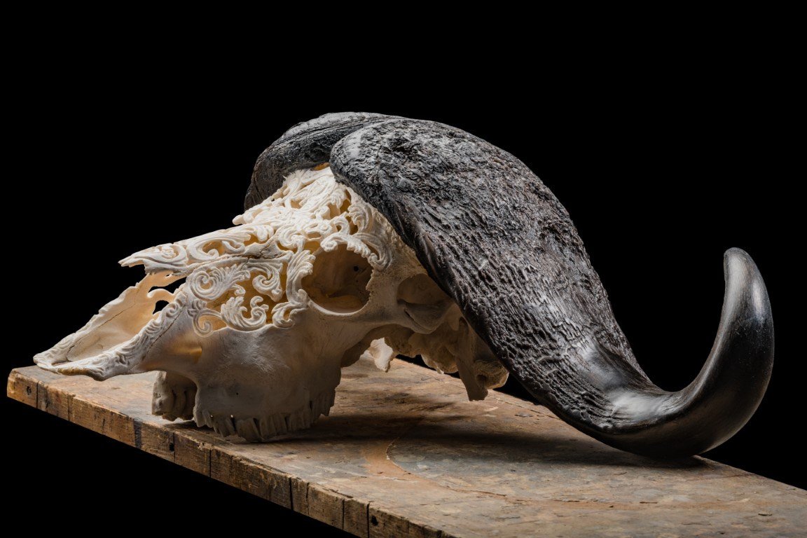 skull art 3.jpeg