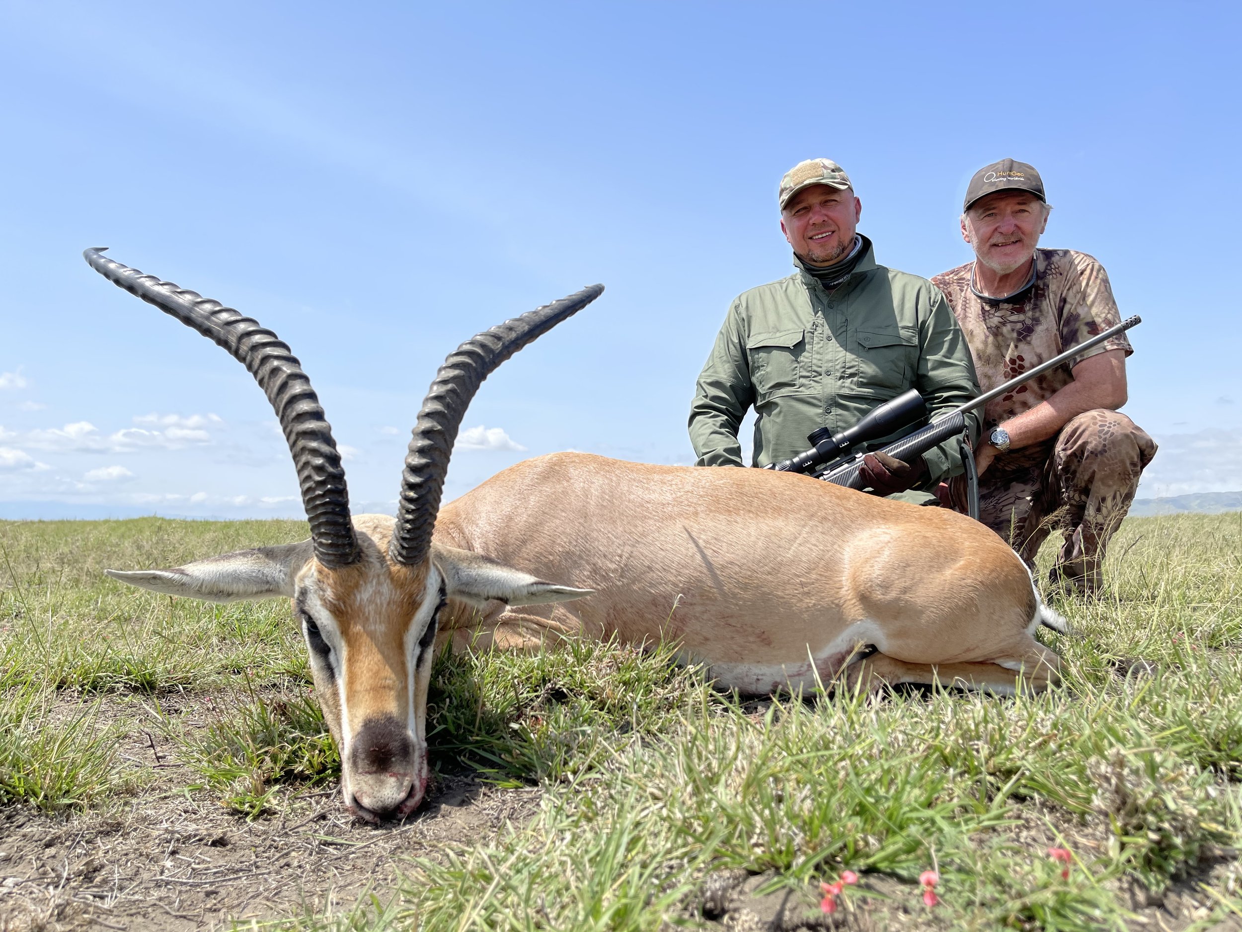 roberts gazelle.jpg
