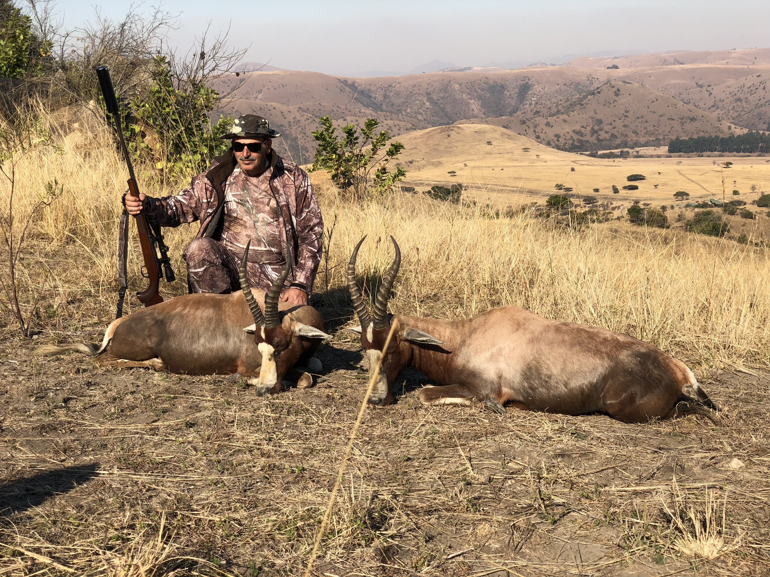 Blesbok.jpg