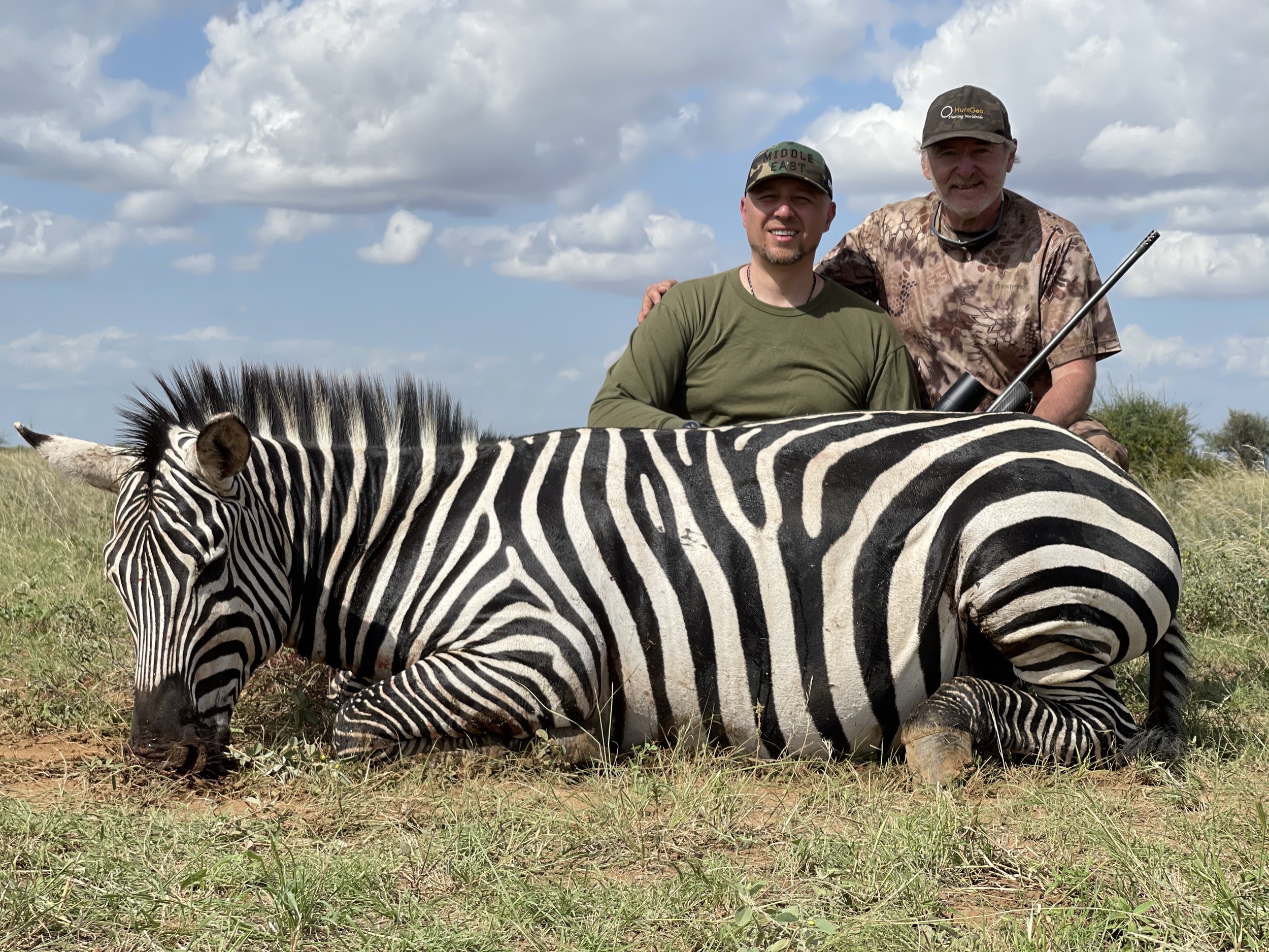 zebra1.jpg