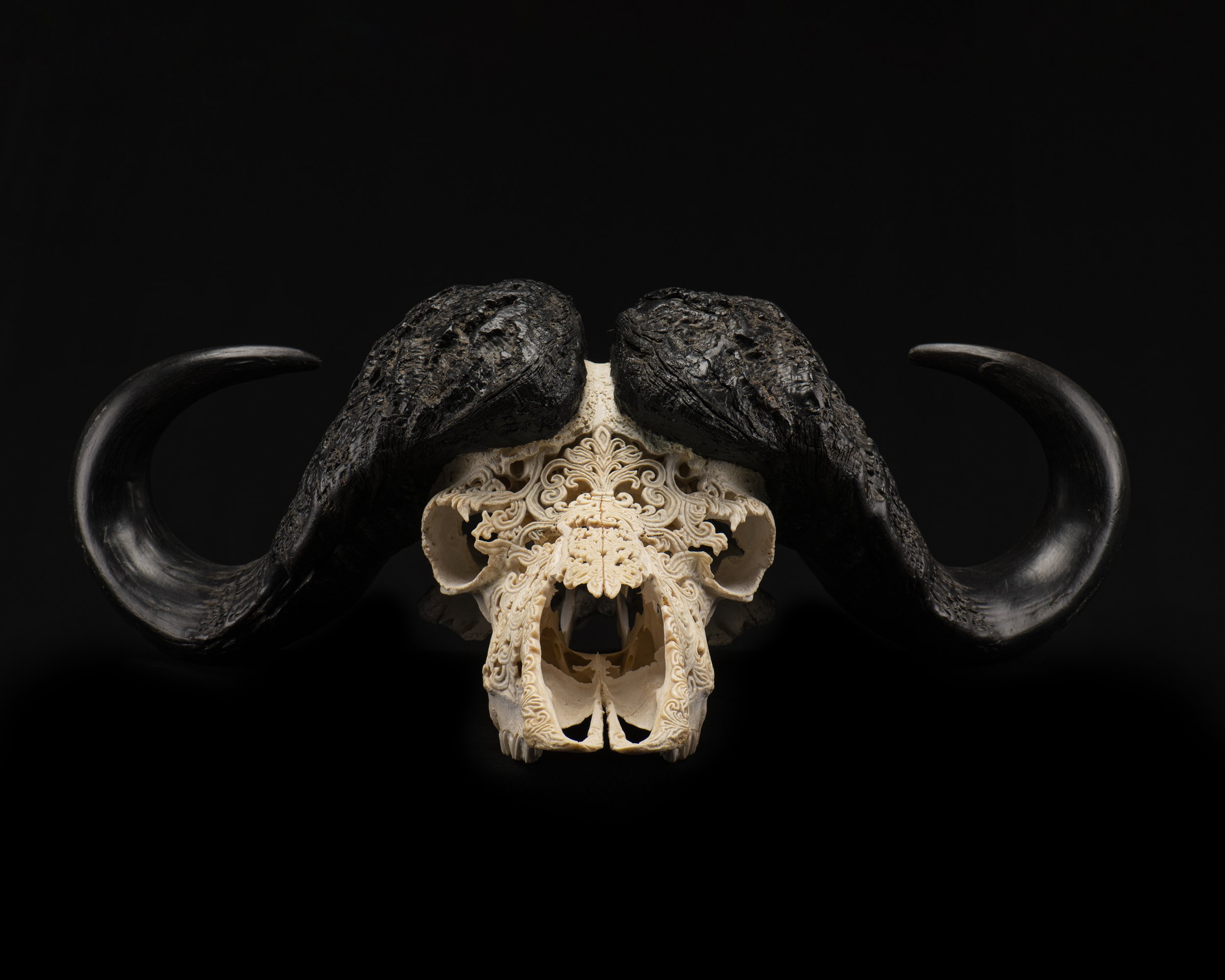 Skull art 2.jpeg