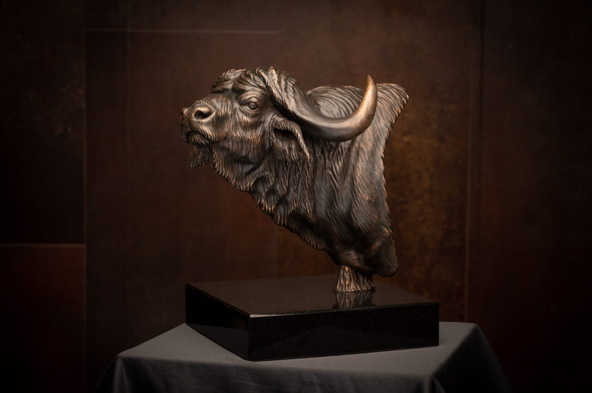 buffalo 2.jpg