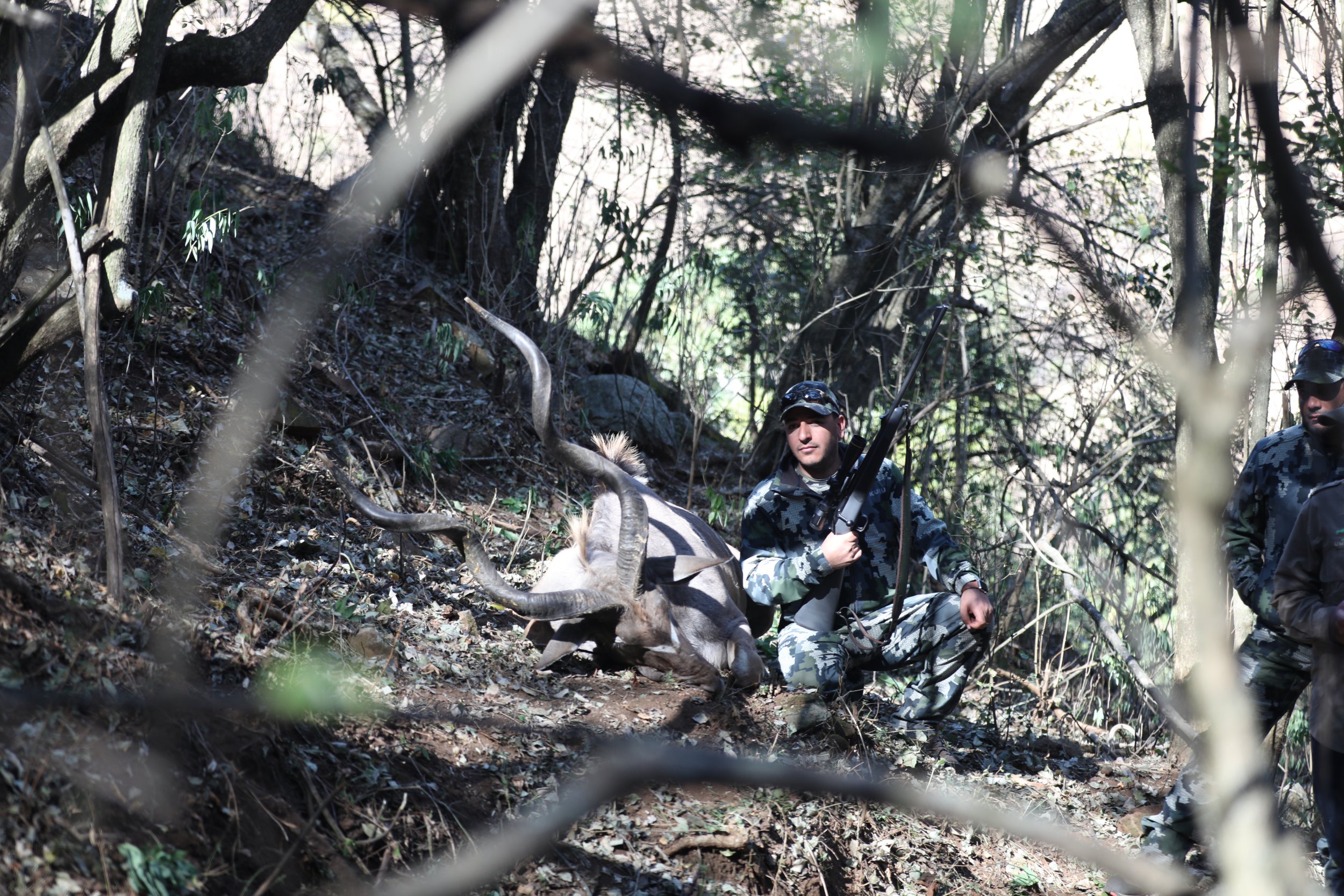 Kudu.jpg
