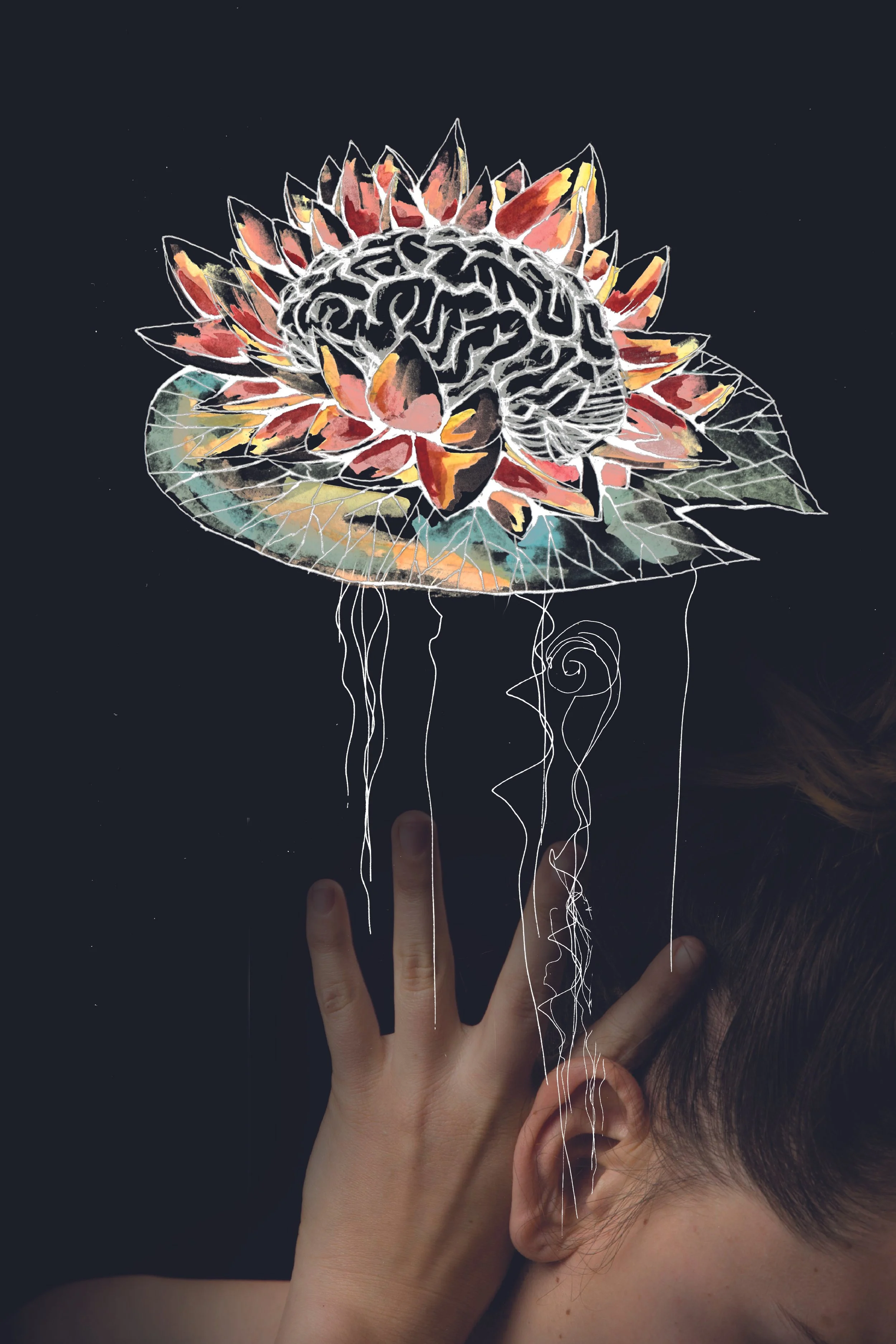 cerveau 2.jpg