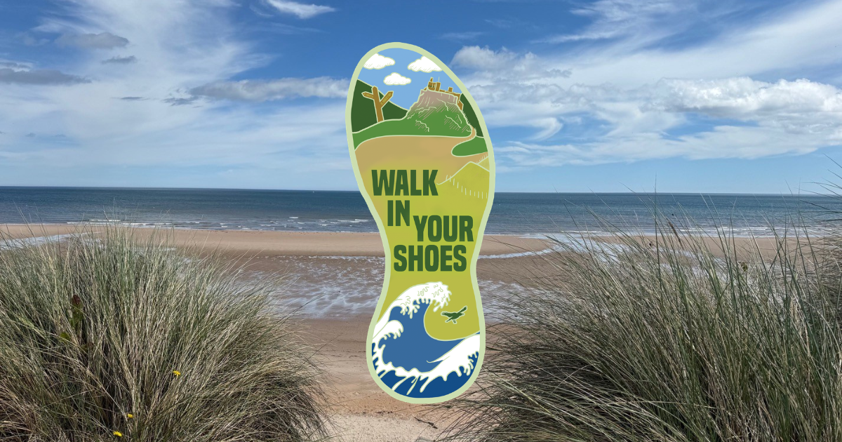 Walk in Your Shoes 2026