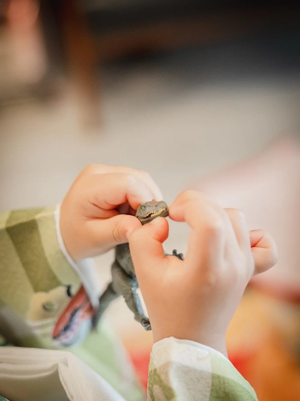 .
着付けをがんばったご褒美にもらった
スピノサウルス。

我が家現在最強王図鑑にハマっておりまして、
今ならスピノ様の偉大さがすごいわかる。
かっこいいよねスピノサウルス！！！！！

ちなみに私の推しはアンキロサウルスとパラケラテリウム。
異論は認める。

✎︎＿＿＿＿＿＿＿＿＿＿＿＿＿＿
▶︎information
2025年11月〜12月のご予約（全ジャンル可能）
受付しております。
詳しくはHPをご覧いただき、何か不明点がありましたらDMもしくはメールにてお問い合わせください🌿

▶︎