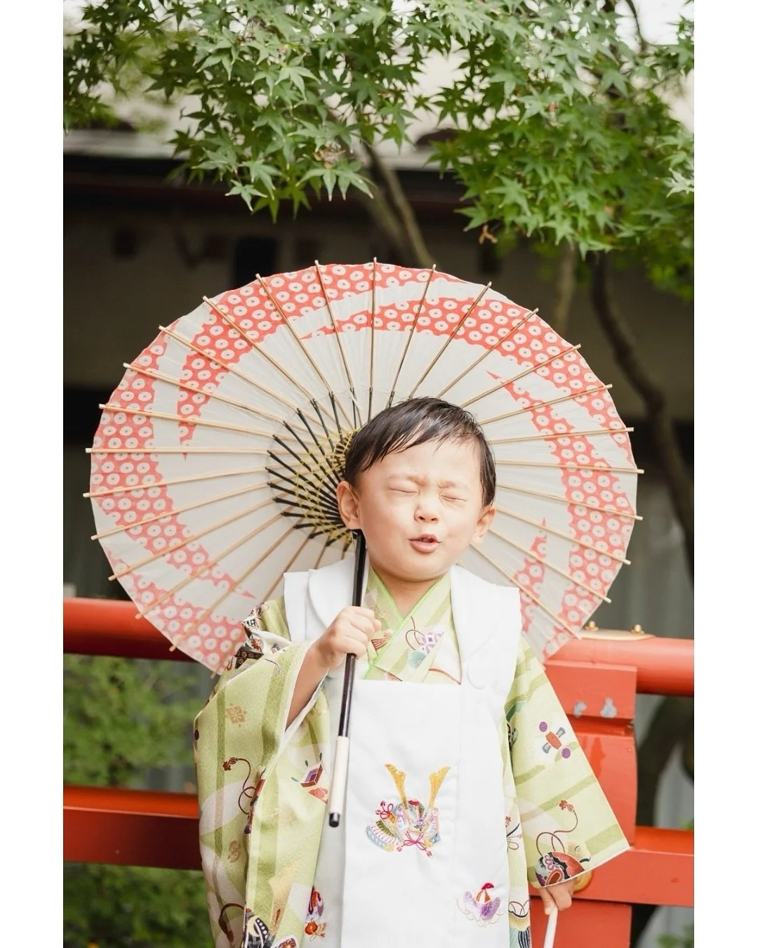 よく撮影中に
「ママ大好きのお顔して❤️」とお願いしているのですが&hellip;
みーんなちょーーーーーいいお顔してくれて幸幸幸なわたしです。

こちらのスピノボーイもママ大好きのお顔を見せてくれて、
更に更に元気元気の写真がたくさん撮れて、更に幸。

3歳の七五三おめでとう㊗️
妹ちゃんのお宮参りも、おめでとう㊗️

✎︎＿＿＿＿＿＿＿＿＿＿＿＿＿＿
▶︎information
2025年11月〜12月のご予約（全ジャンル可能）
受付しております。
詳しくはHPをご覧いただき、何か不明点があ