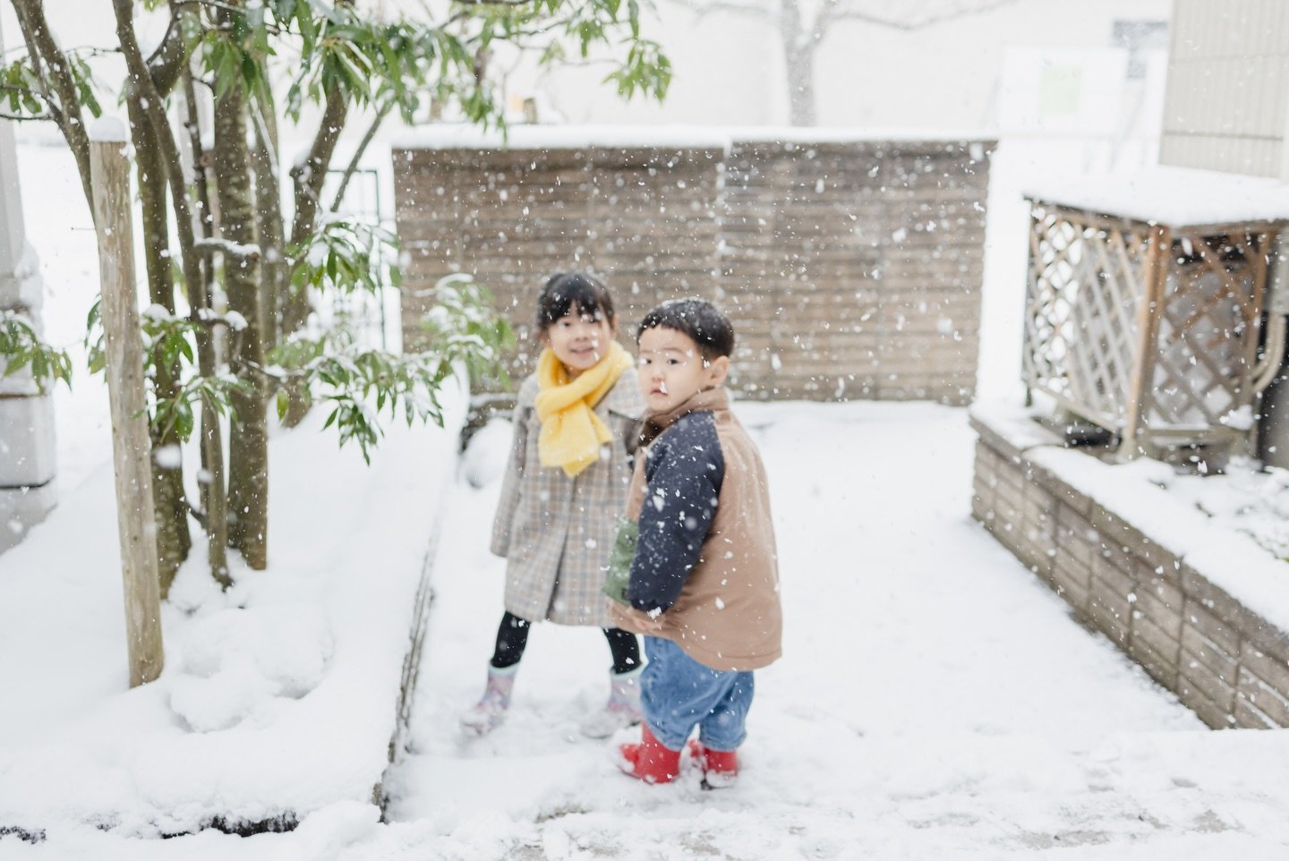 .
2歳ブーストかかってる息子は置いといて&hellip;

かなり移動が楽になった。
着いてきてって言ったら着いてくるし、
危ないから止まってと言ったら止まってくれる

命の危険という意味では心配事はかなり減った

かわりに別ジャンルの悩みが増えた

一生これの繰り返しなんだろうなとふと思う。

✎︎＿＿＿＿＿＿＿＿＿＿＿＿＿＿
information
ただいま2026年2月3月の撮影を受付しております。
詳しくはHPをご覧いただき、何か不明点がありましたらDMもしくはメールにてお問い合わせく
