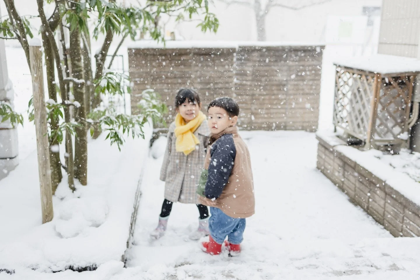 .
2歳ブーストかかってる息子は置いといて&hellip;

かなり移動が楽になった。
着いてきてって言ったら着いてくるし、
危ないから止まってと言ったら止まってくれる

命の危険という意味では心配事はかなり減った

かわりに別ジャンルの悩みが増えた

一生これの繰り返しなんだろうなとふと思う。

✎︎＿＿＿＿＿＿＿＿＿＿＿＿＿＿
information
ただいま2026年2月3月の撮影を受付しております。
詳しくはHPをご覧いただき、何か不明点がありましたらDMもしくはメールにてお問い合わせく