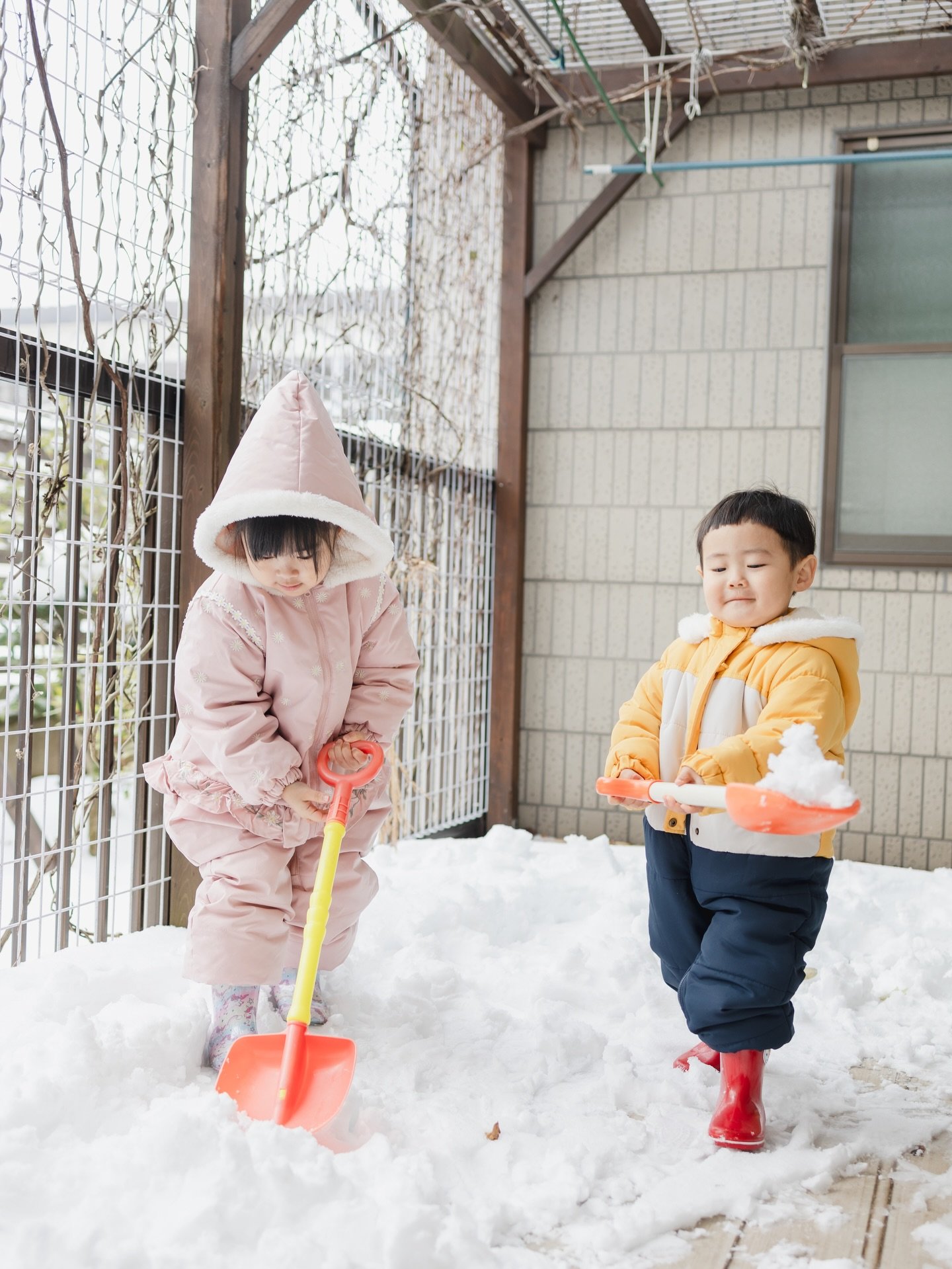 .
「飛行機に乗って石川のバーバに会いに行って、雪遊びをしたい」

という、えらい具体的なお願いを叶えるべく
2年ぶりに石川の地を踏む。

ドカ雪すぎてスキー場どころか
家のウッドデッキで十分ですわ。

✎︎＿＿＿＿＿＿＿＿＿＿＿＿＿＿
information
ただいま2026年2月3月の撮影を受付しております。
詳しくはHPをご覧いただき、何か不明点がありましたらDMもしくはメールにてお問い合わせください🌿

▶︎空き状況
2月&rarr;⚪︎
3月&rarr;2/1受付スタートしました！
