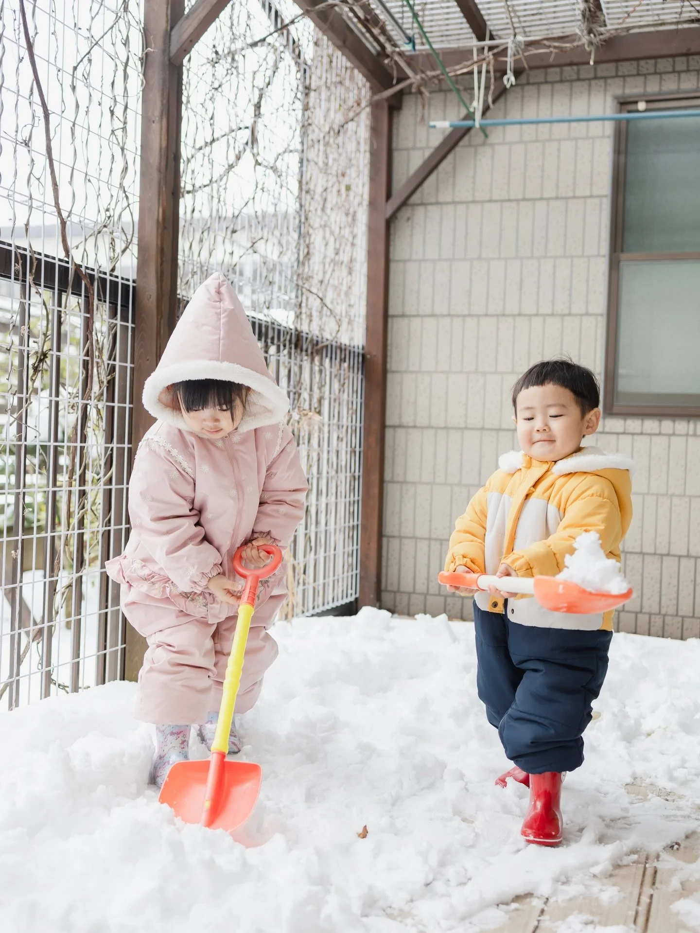 .
「飛行機に乗って石川のバーバに会いに行って、雪遊びをしたい」

という、えらい具体的なお願いを叶えるべく
2年ぶりに石川の地を踏む。

ドカ雪すぎてスキー場どころか
家のウッドデッキで十分ですわ。

✎︎＿＿＿＿＿＿＿＿＿＿＿＿＿＿
information
ただいま2026年2月3月の撮影を受付しております。
詳しくはHPをご覧いただき、何か不明点がありましたらDMもしくはメールにてお問い合わせください🌿

▶︎空き状況
2月&rarr;⚪︎
3月&rarr;2/1受付スタートしました！
