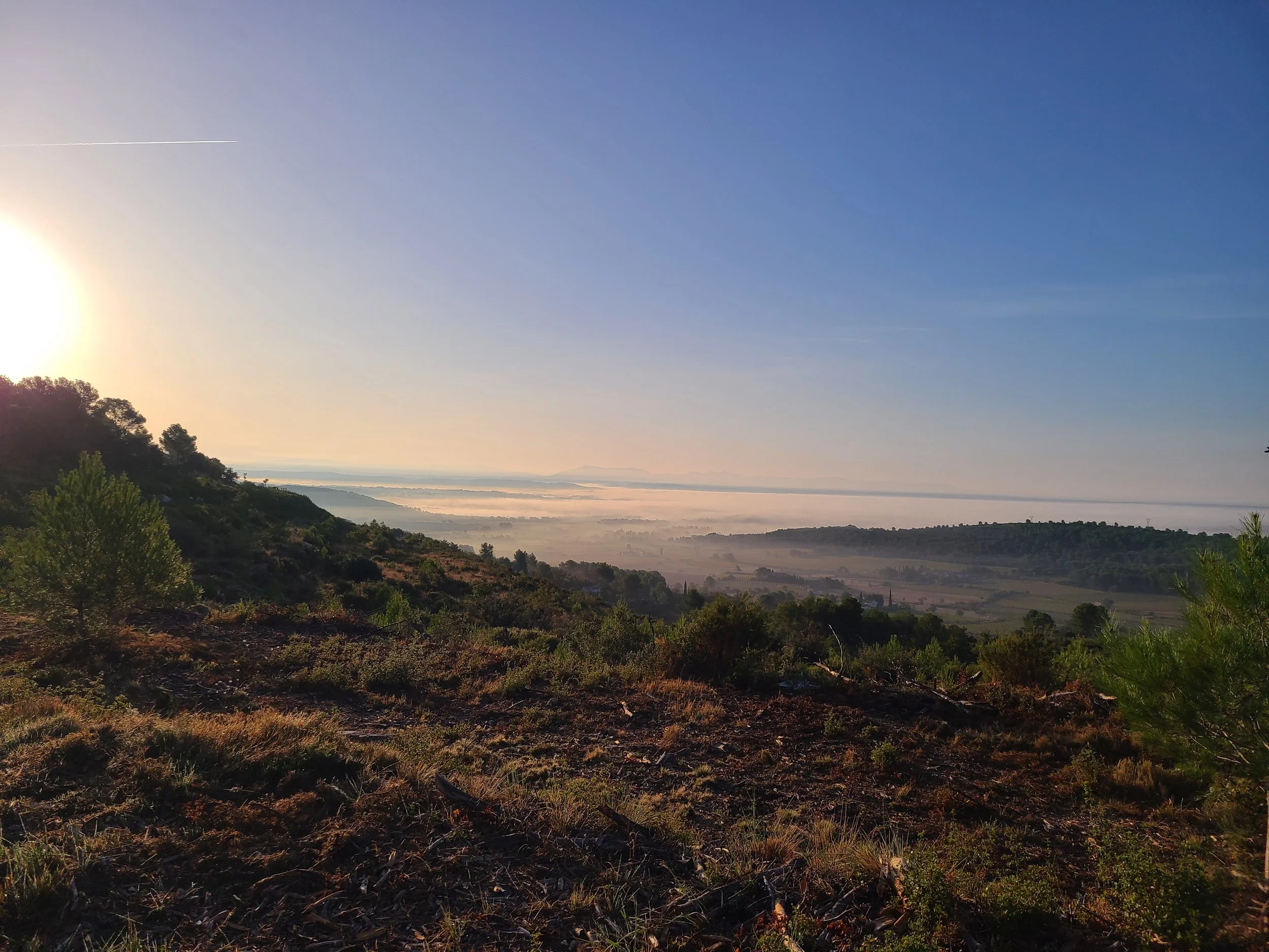The golden light of Provence is simply magical.