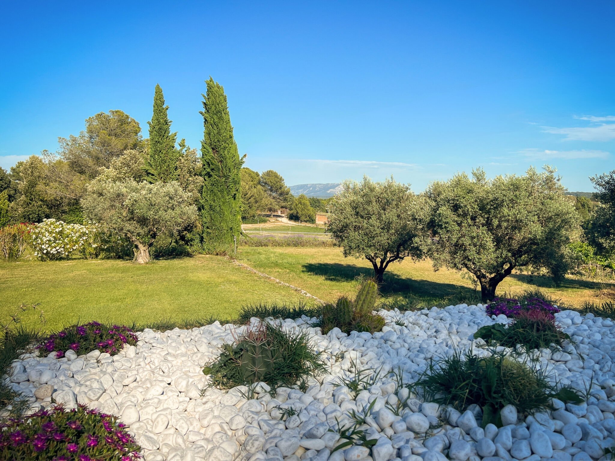 vue-sainte-victoire-scaled.jpeg