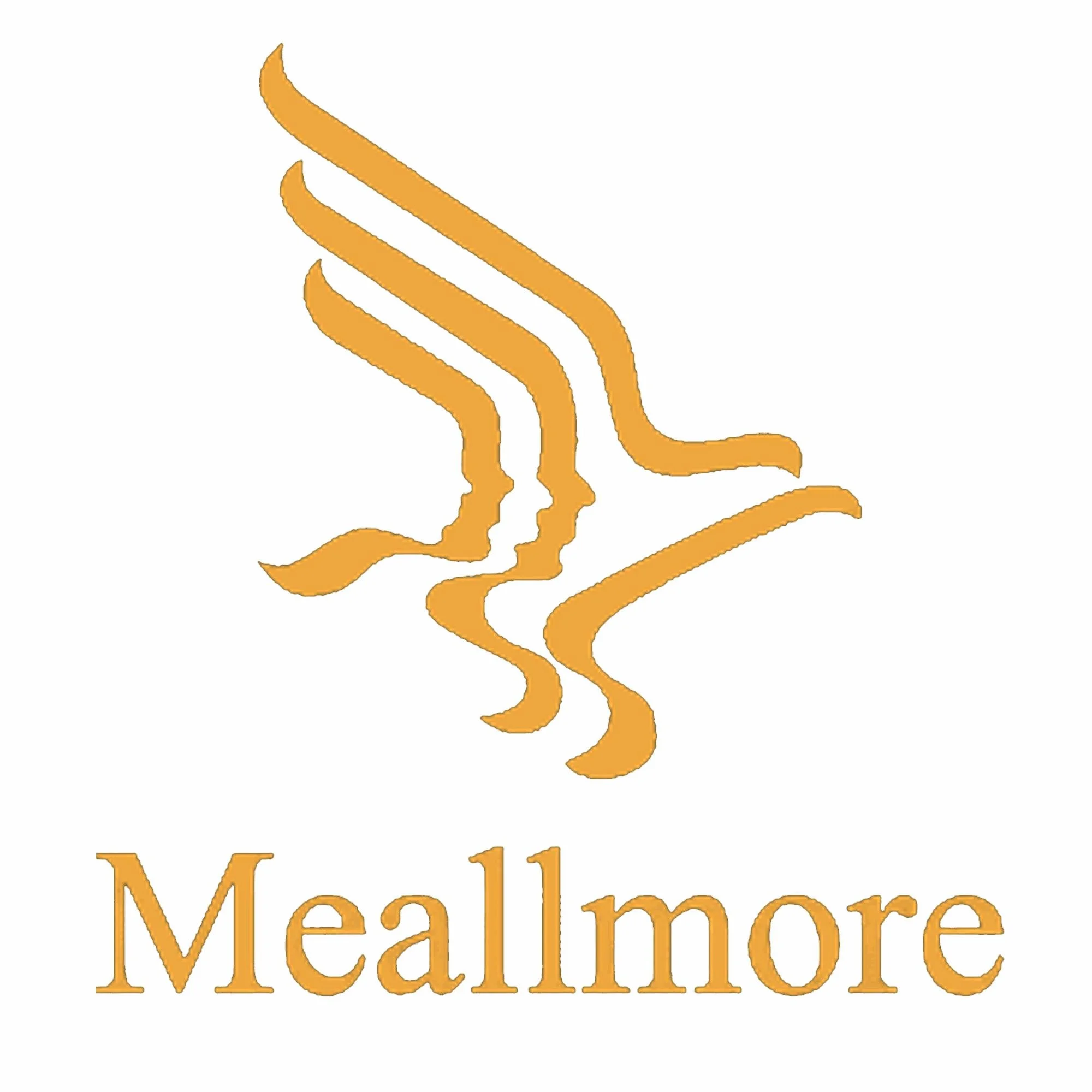 A logo with stylized orange lines forming the profiles of three women and the word 'Meallmore' underneath.