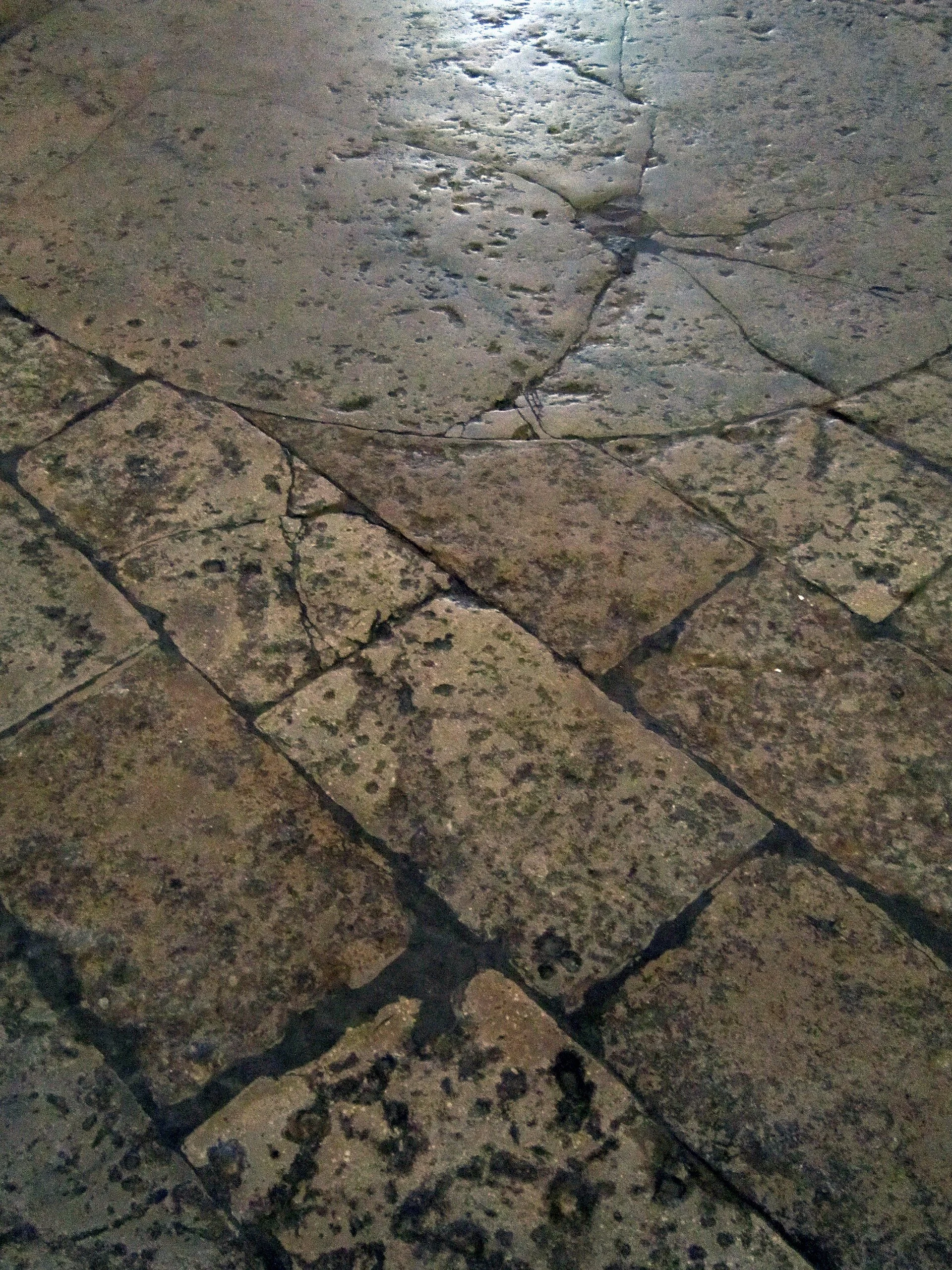Natural limestone floor showing the colour and variation of the stone