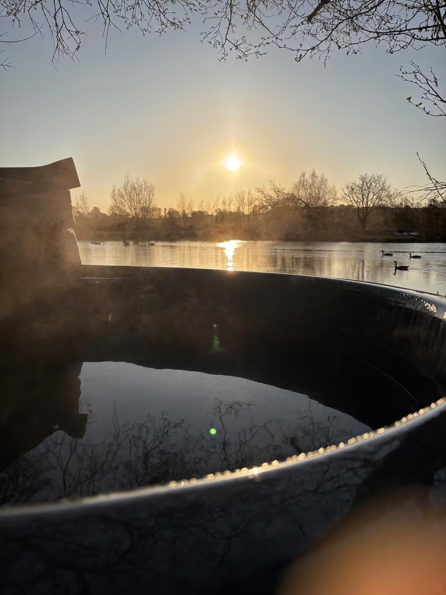 A serene outdoor scene at sunset, featuring a calm body of water with ducks swimming, trees in the background, and the sun reflecting on the water's surface.