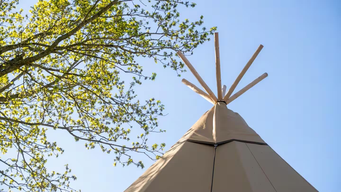 A beige outdoor umbrella viewed from below against a clear blue sky, with a green tree on the left side of the image.