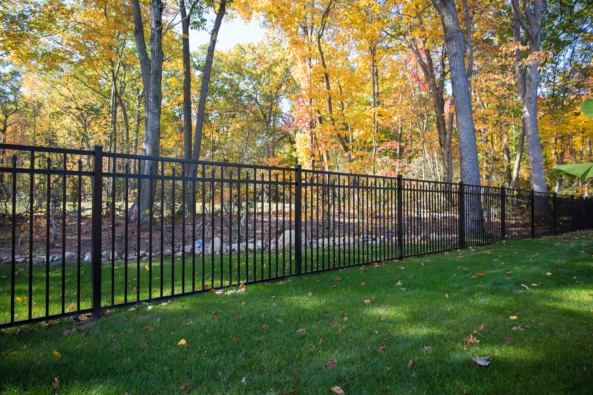 Amethyst DR Haven 4.5x8 in Black.jpg