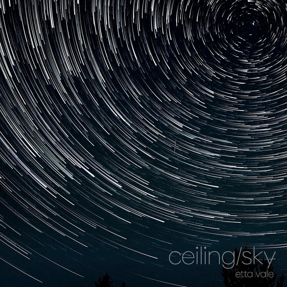 ETTA_CEILING_COVER copy.webp