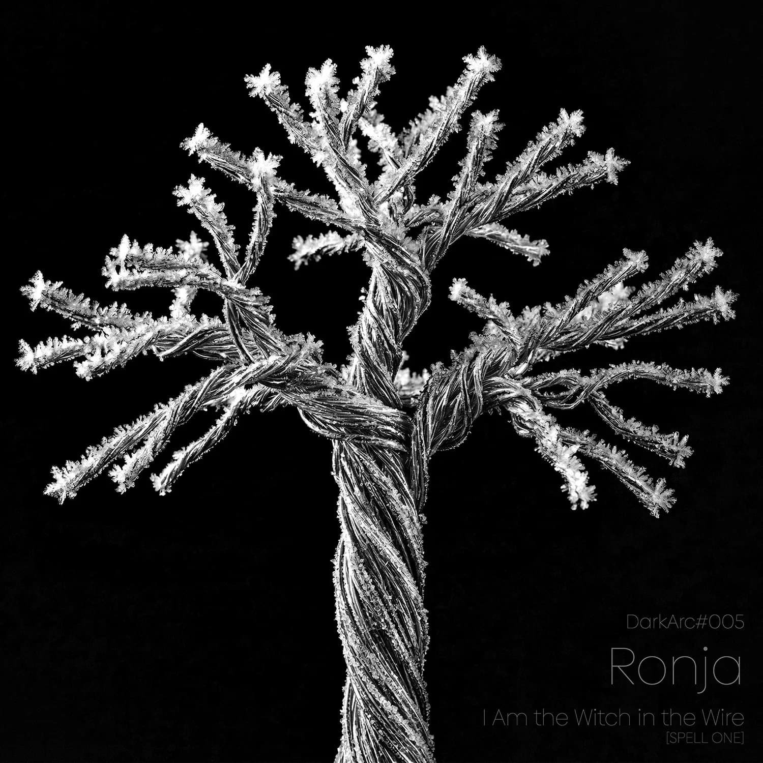 RONJA_WITCH_COVER_LR_2_compressed.jpg