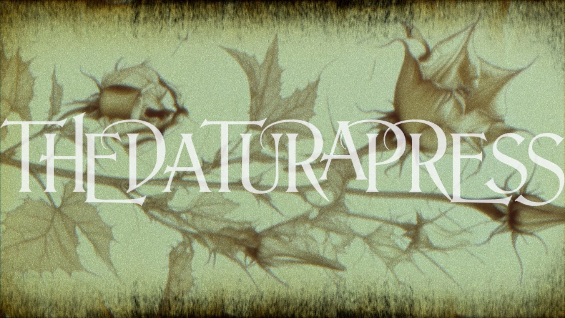 TDP_BANNER.jpg