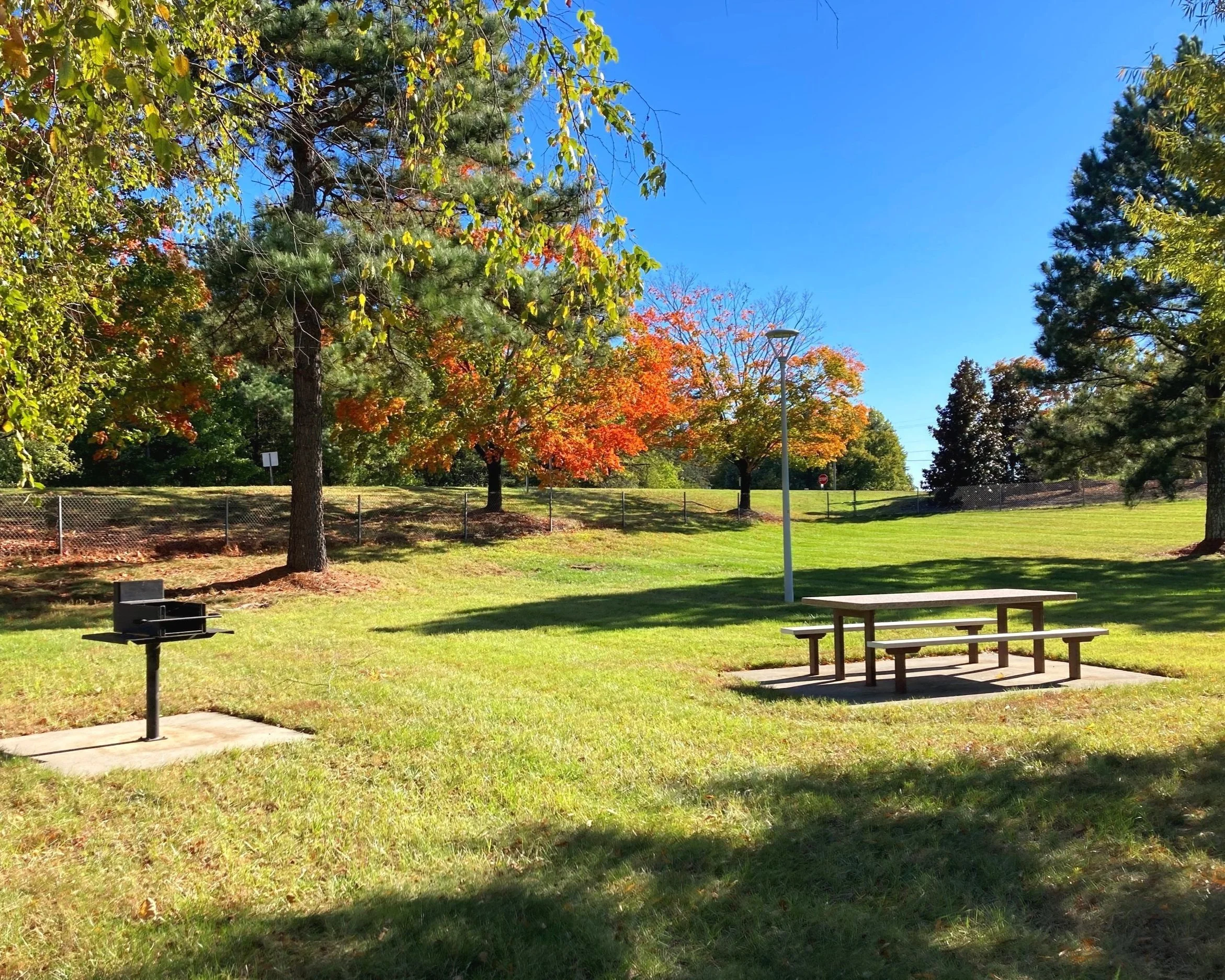 PTVC_park.jpg