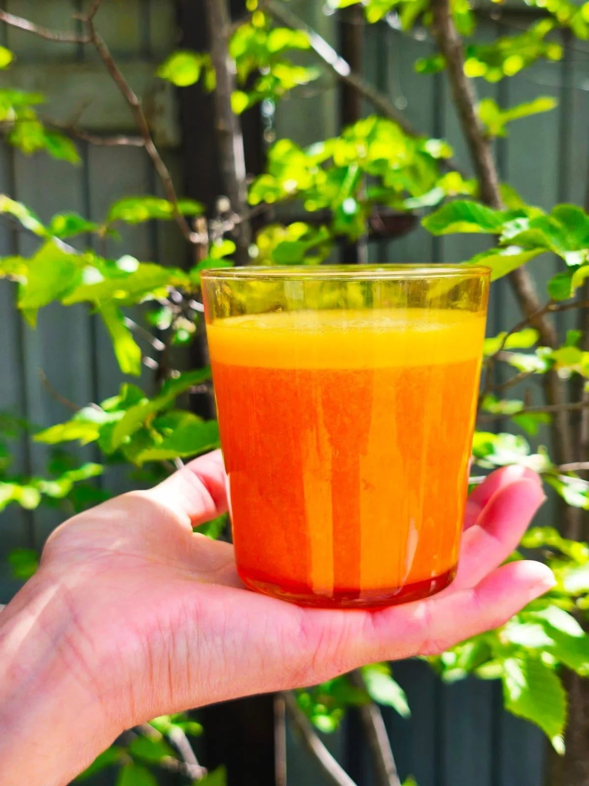 A hand holding a glass of orange juice outdoors with green foliage and a wooden fence in the background.